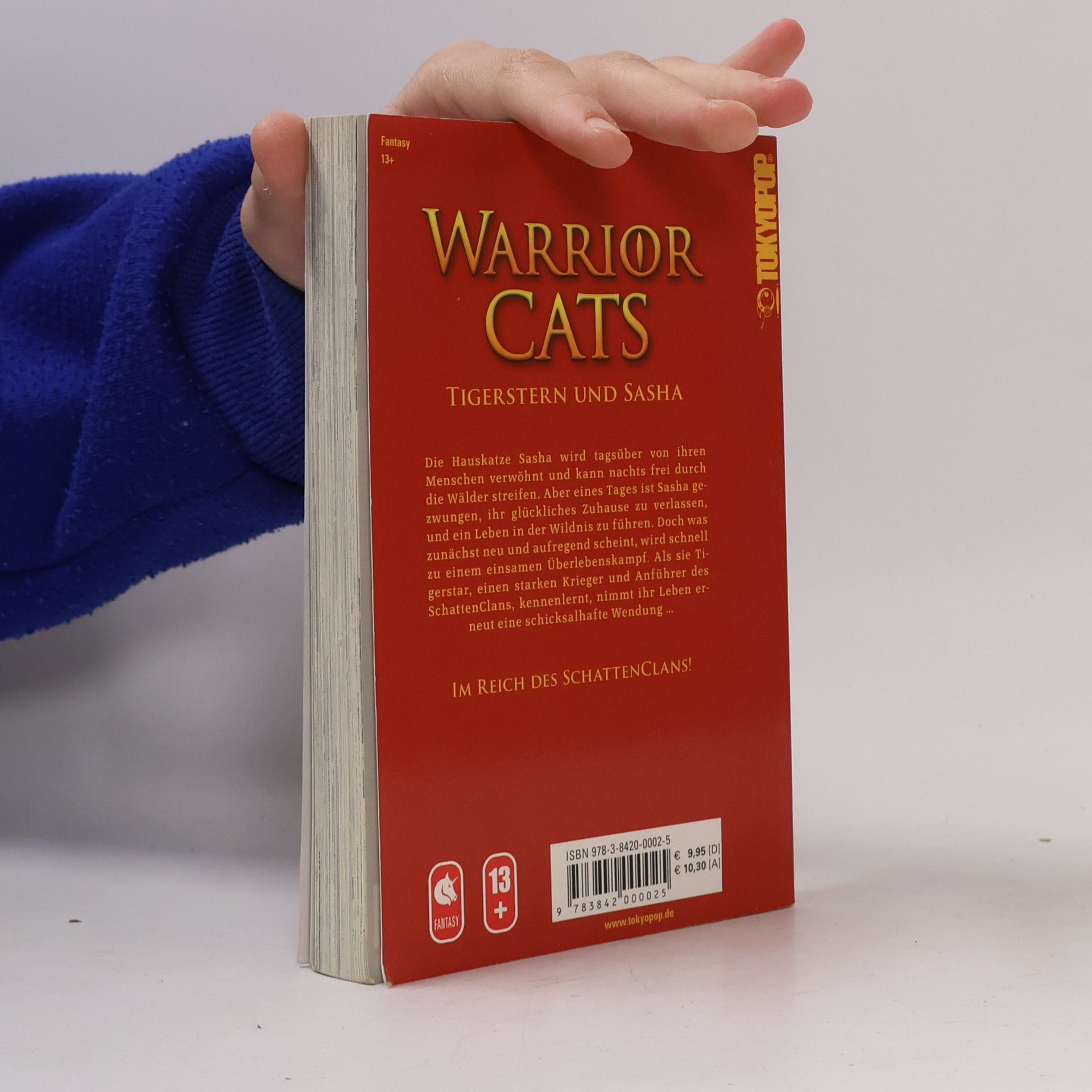 Erin Hunter Warrior Cats. Tigerstern und Sasha
