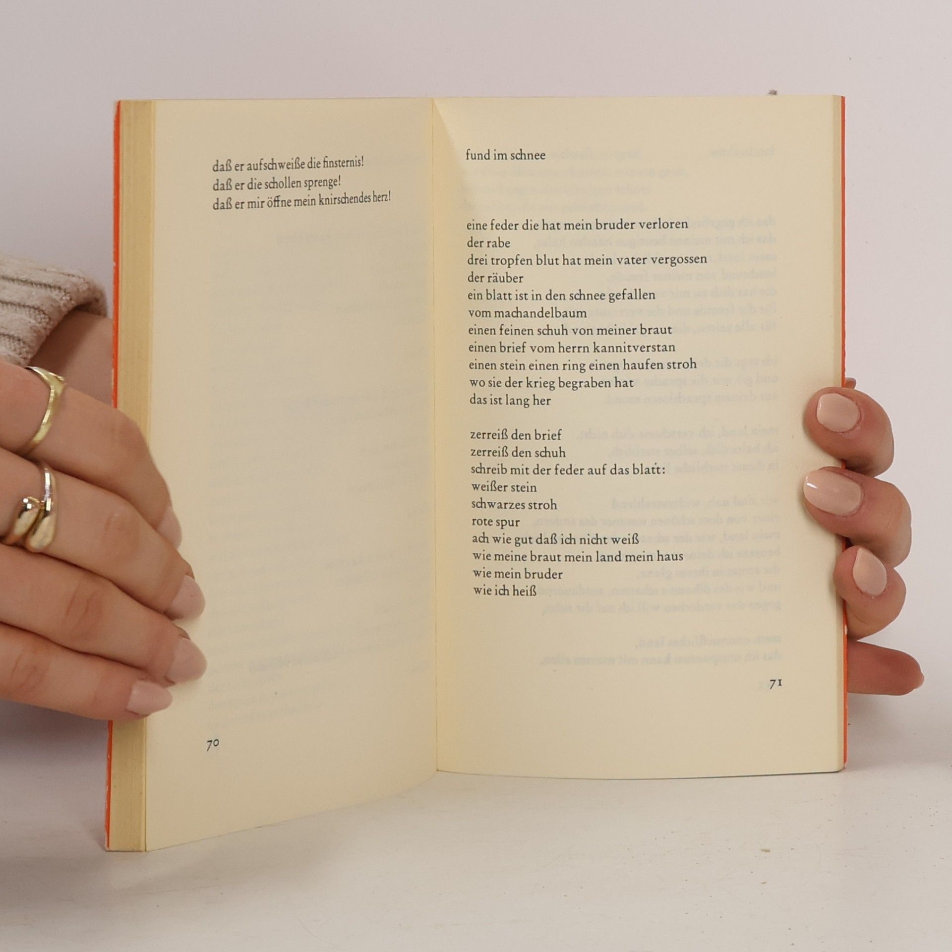 Hans Magnus Enzensberger Landessprache