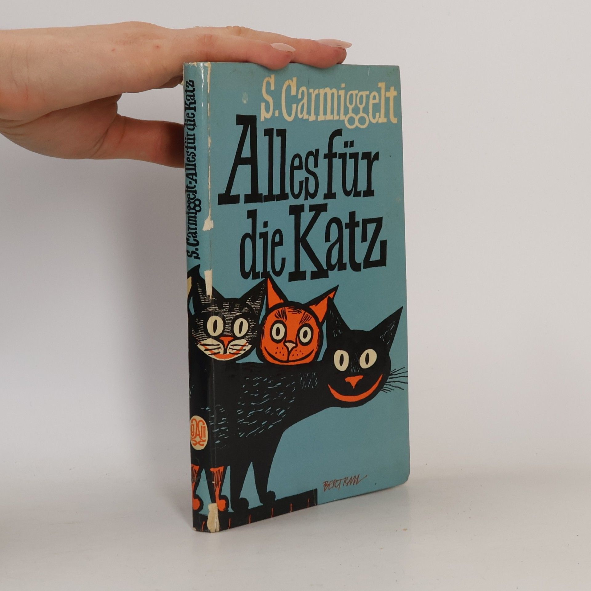 Simon Carmiggelt Alles für die Katz
