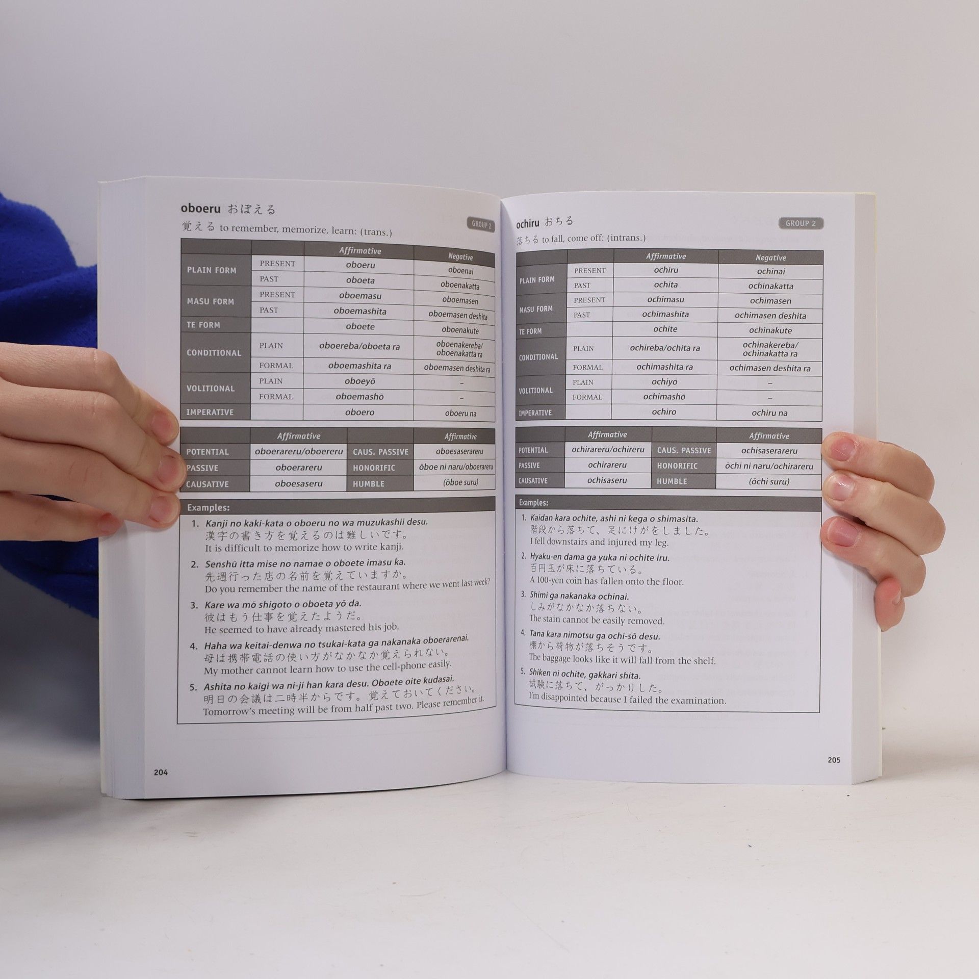 Lorraine Ward 600 Basic Japanese Verbs