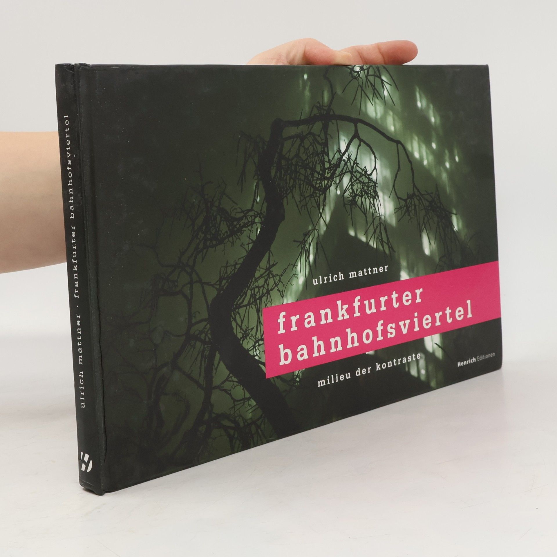 Ulrich Mattner Frankfurter Bahnhofsviertel - Milieu der Kontraste