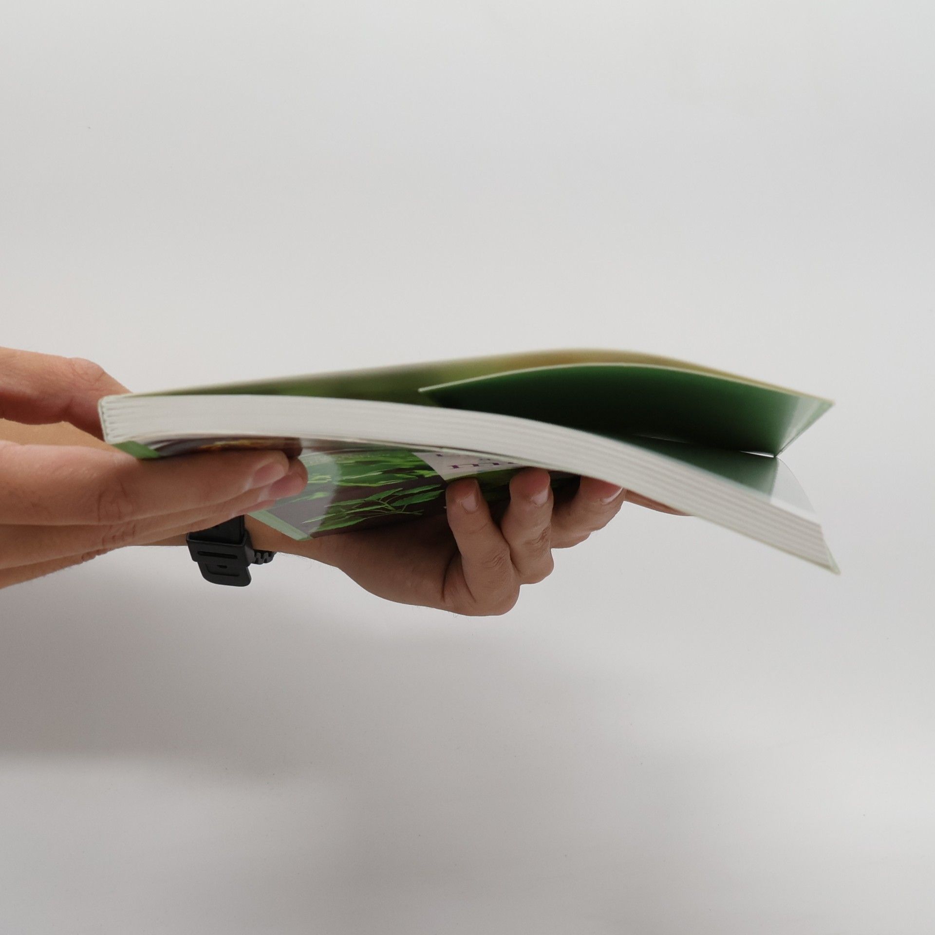 Julien Gasté La cuisine nature aux plantes médicinales