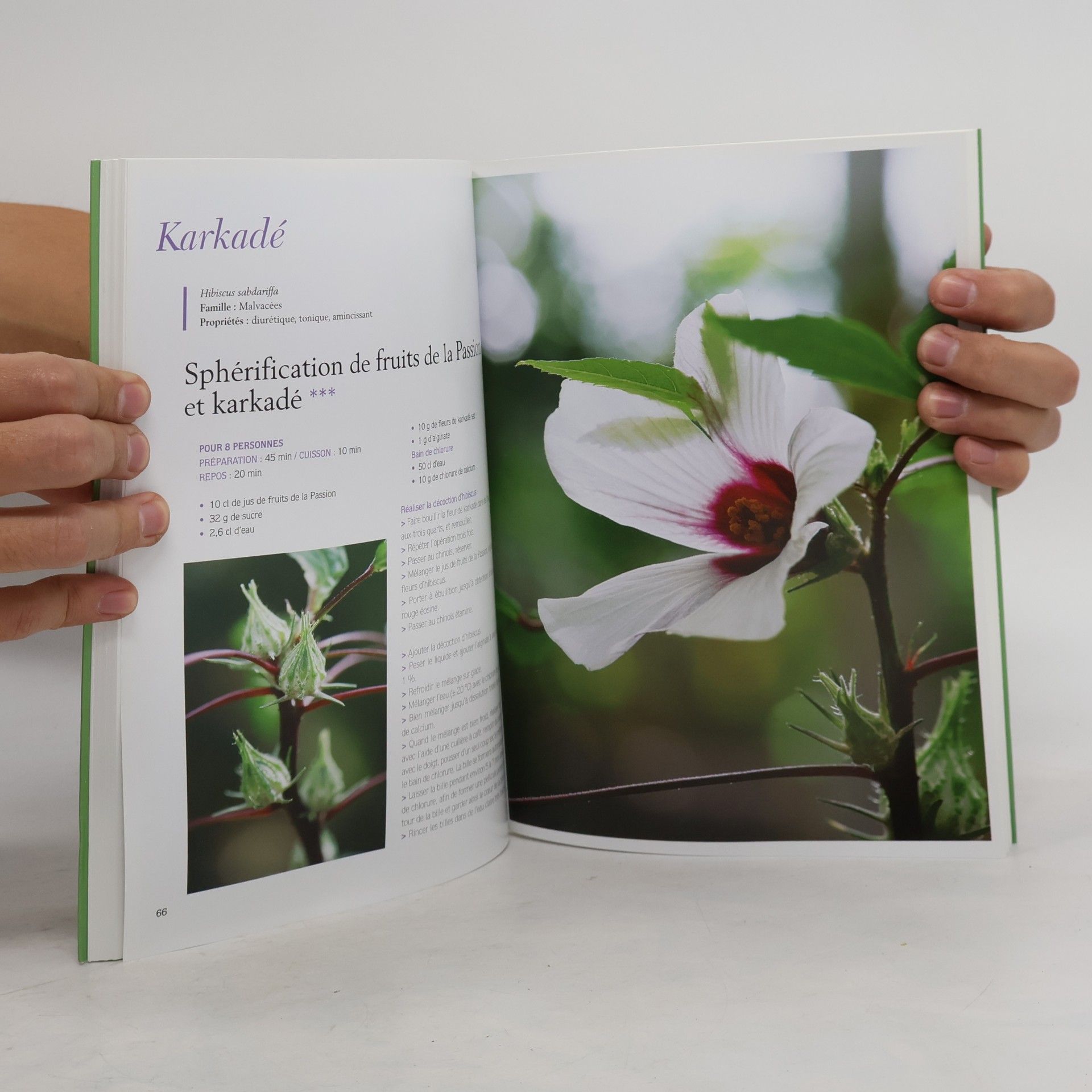 Julien Gasté La cuisine nature aux plantes médicinales