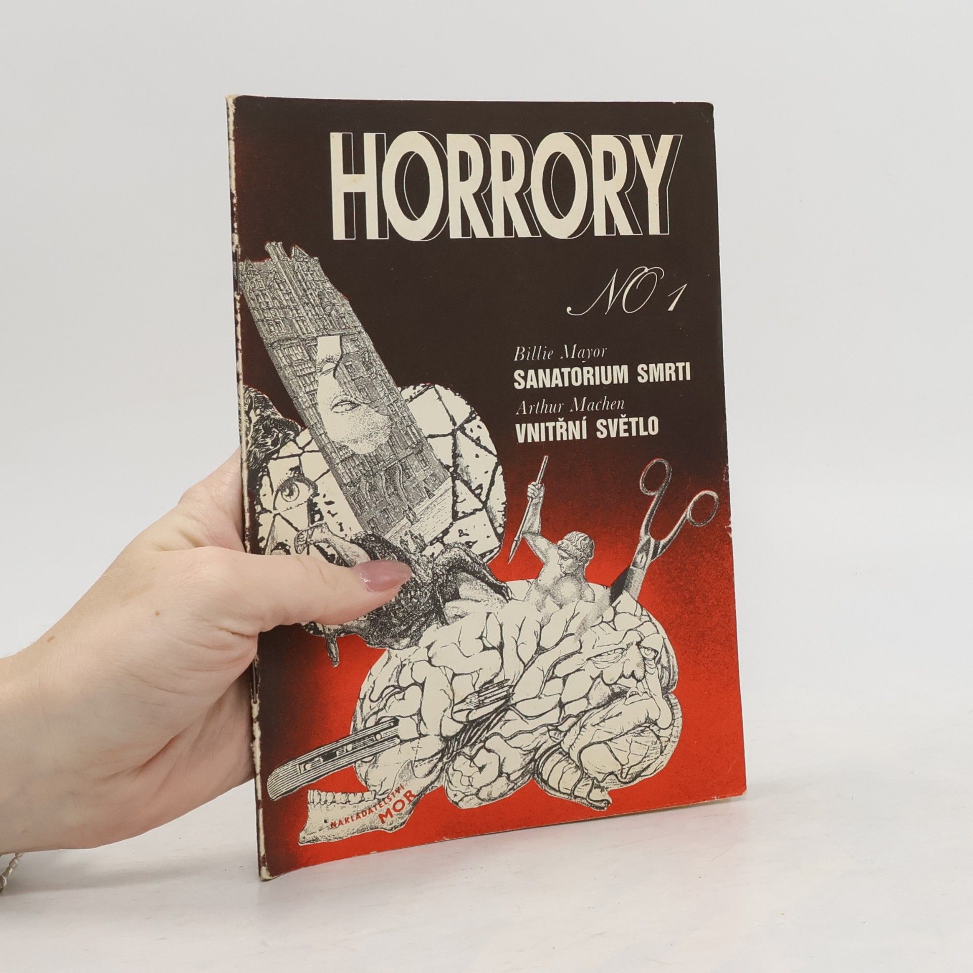 Horrory No. 1. Sanatorium smrti, Vnitřní světlo