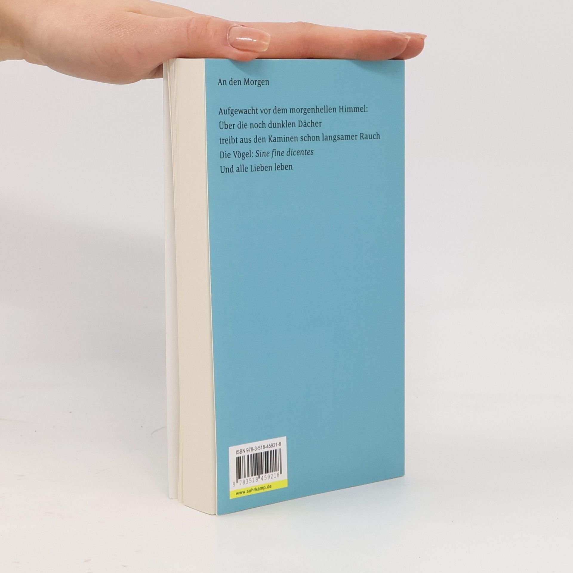 Peter Handke Leben ohne Poesie