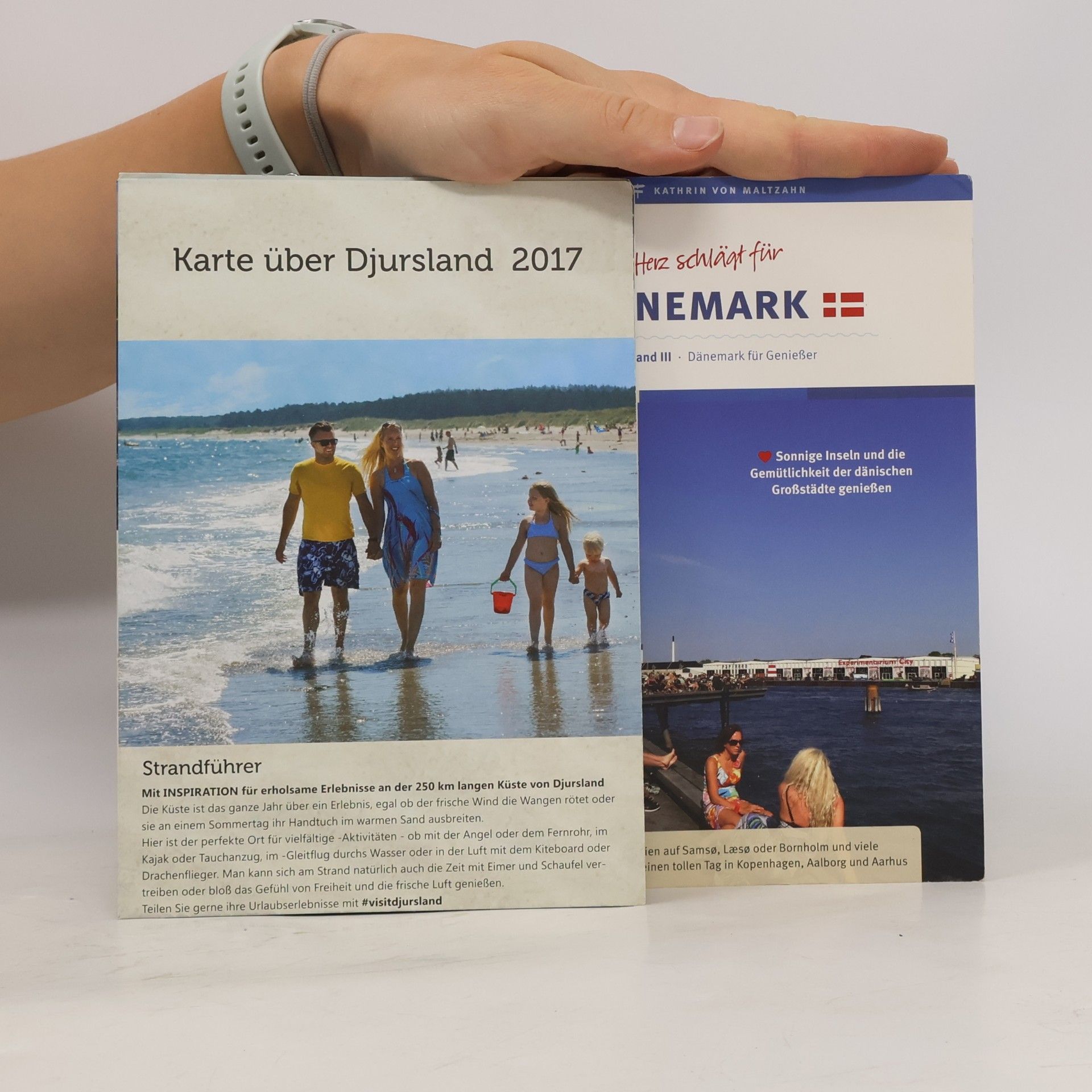 Kathrin von Maltzahn Reiseführer: Mein Herz schlägt für Dänemark Band III