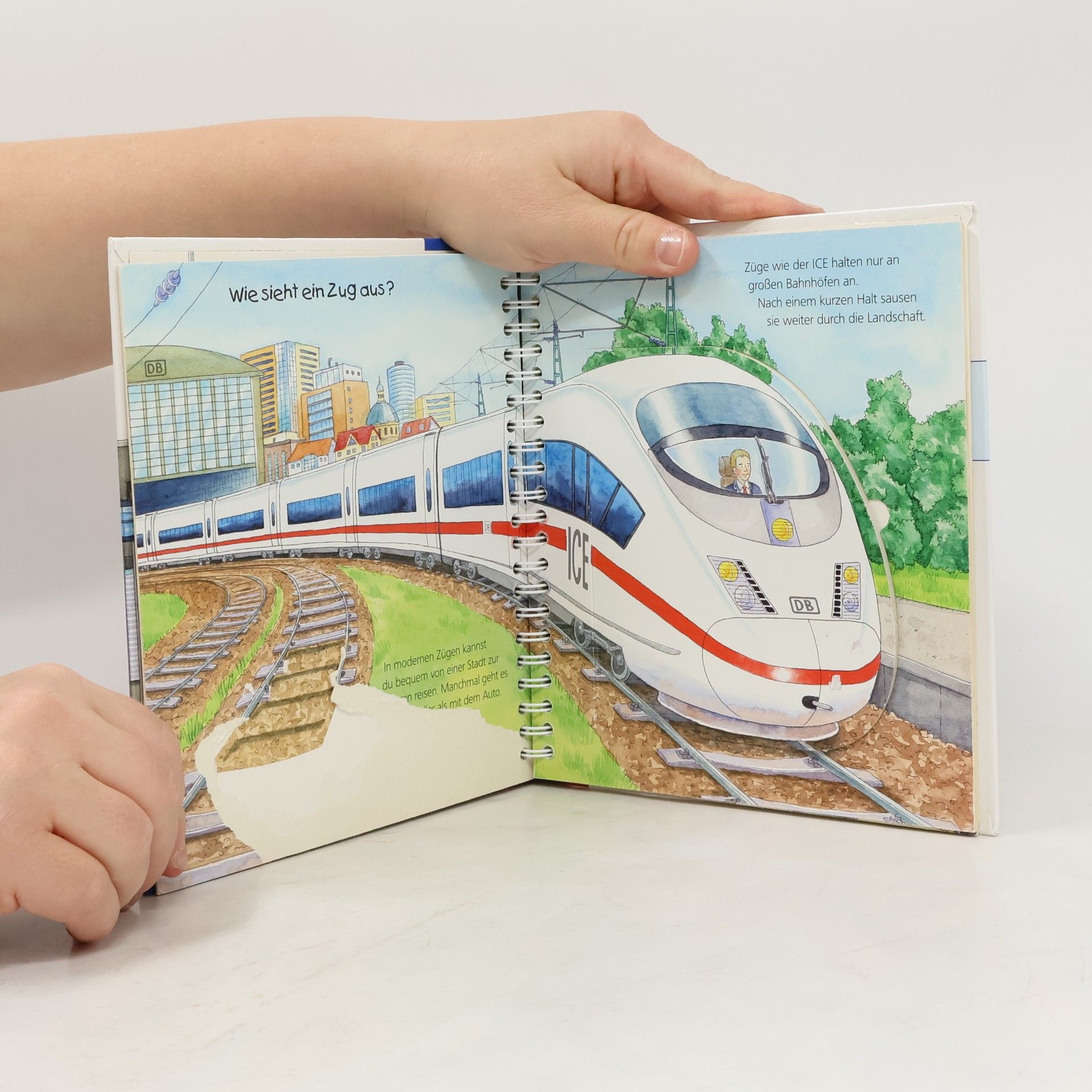 Kolektív autorov Die Eisenbahn