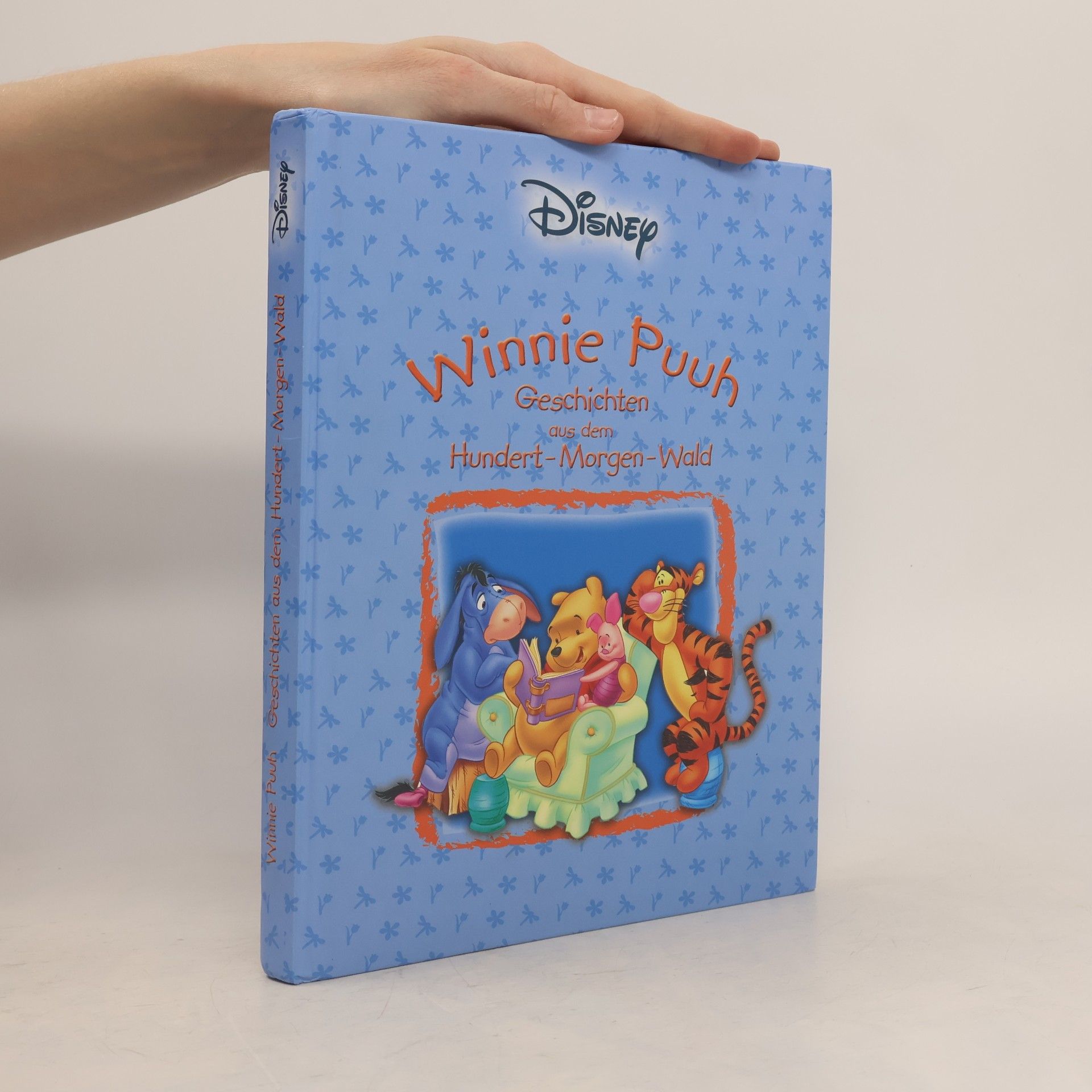 Autorenkollektiv Winnie Puuh. Geschichten aus dem Hundert-Morgen-Wald