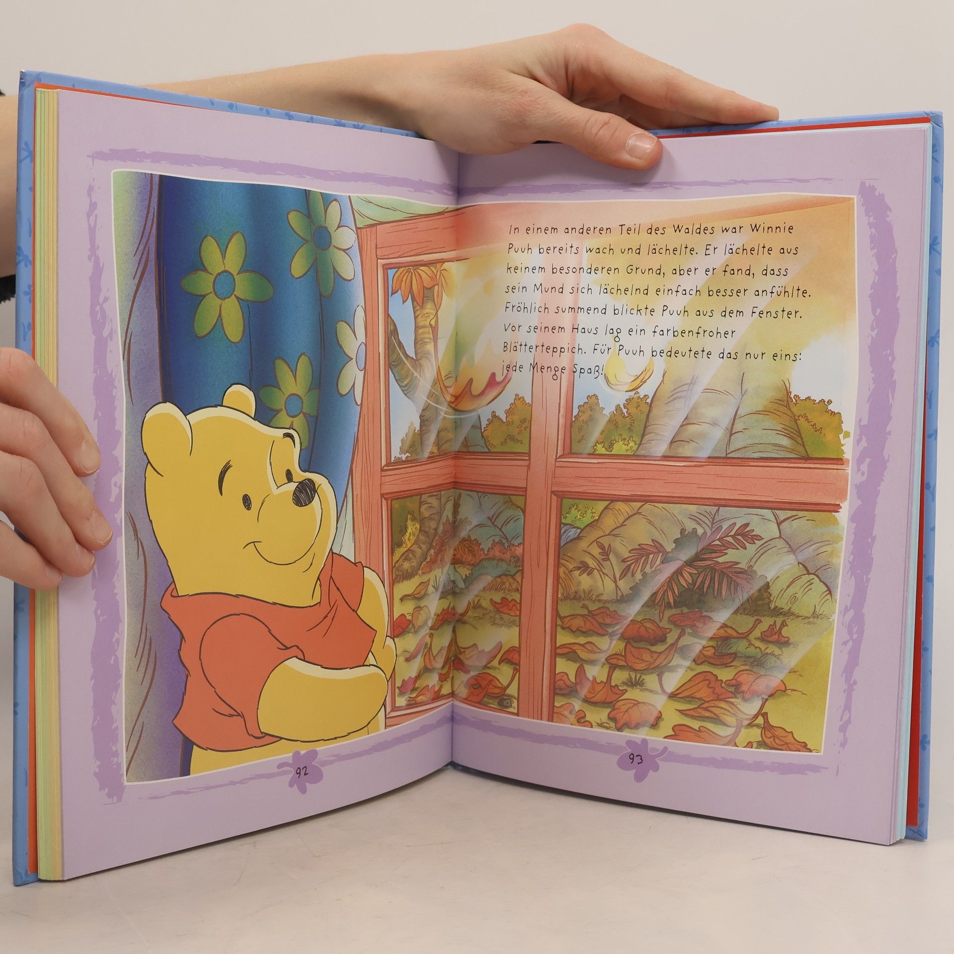 Autorenkollektiv Winnie Puuh. Geschichten aus dem Hundert-Morgen-Wald