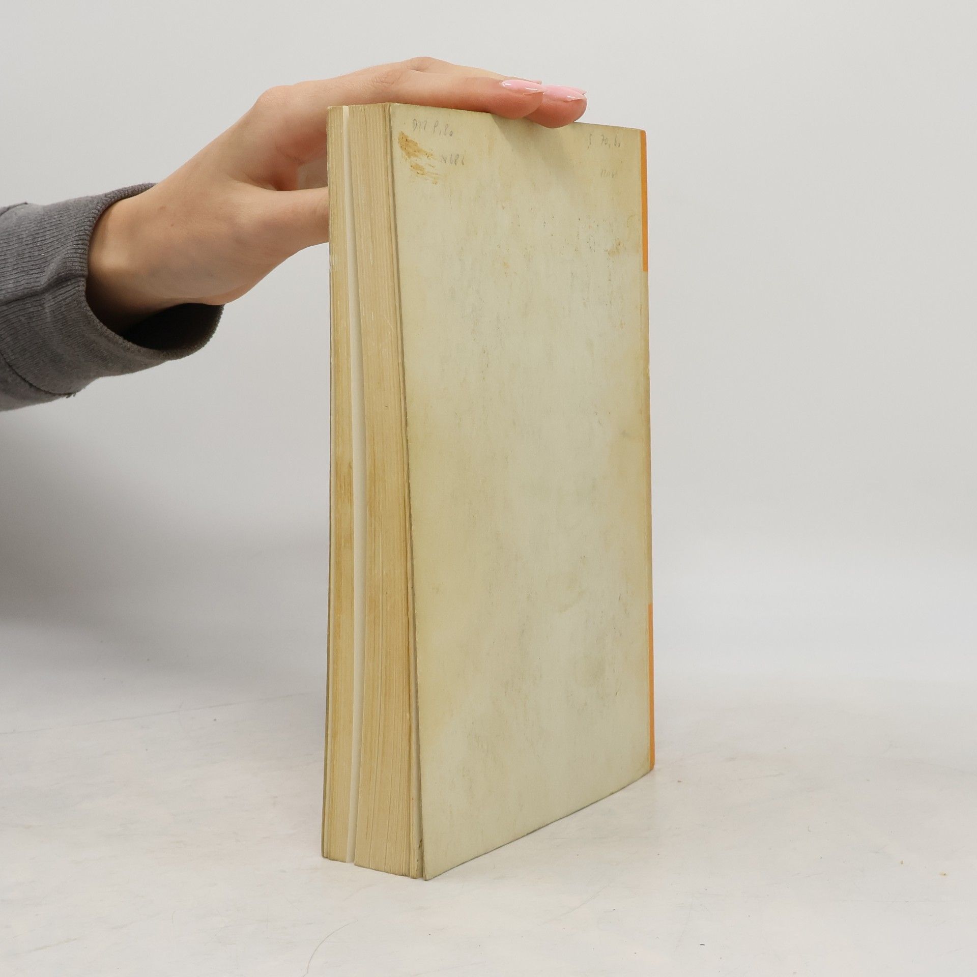 Heinrich Mitteis Deutsche Rechtsgeschichte: Ein Studienbuch