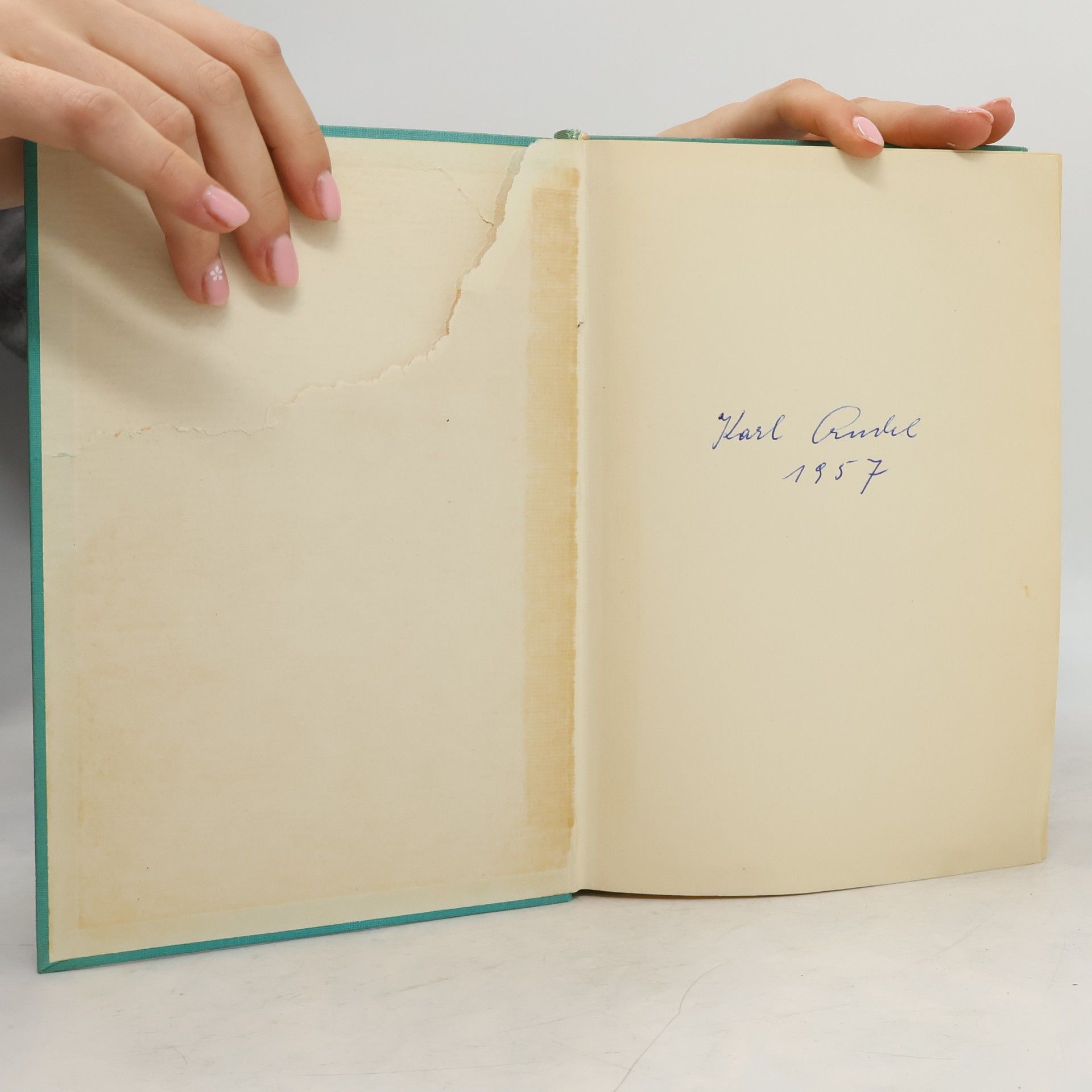 Hans Hass Menschen und Haie