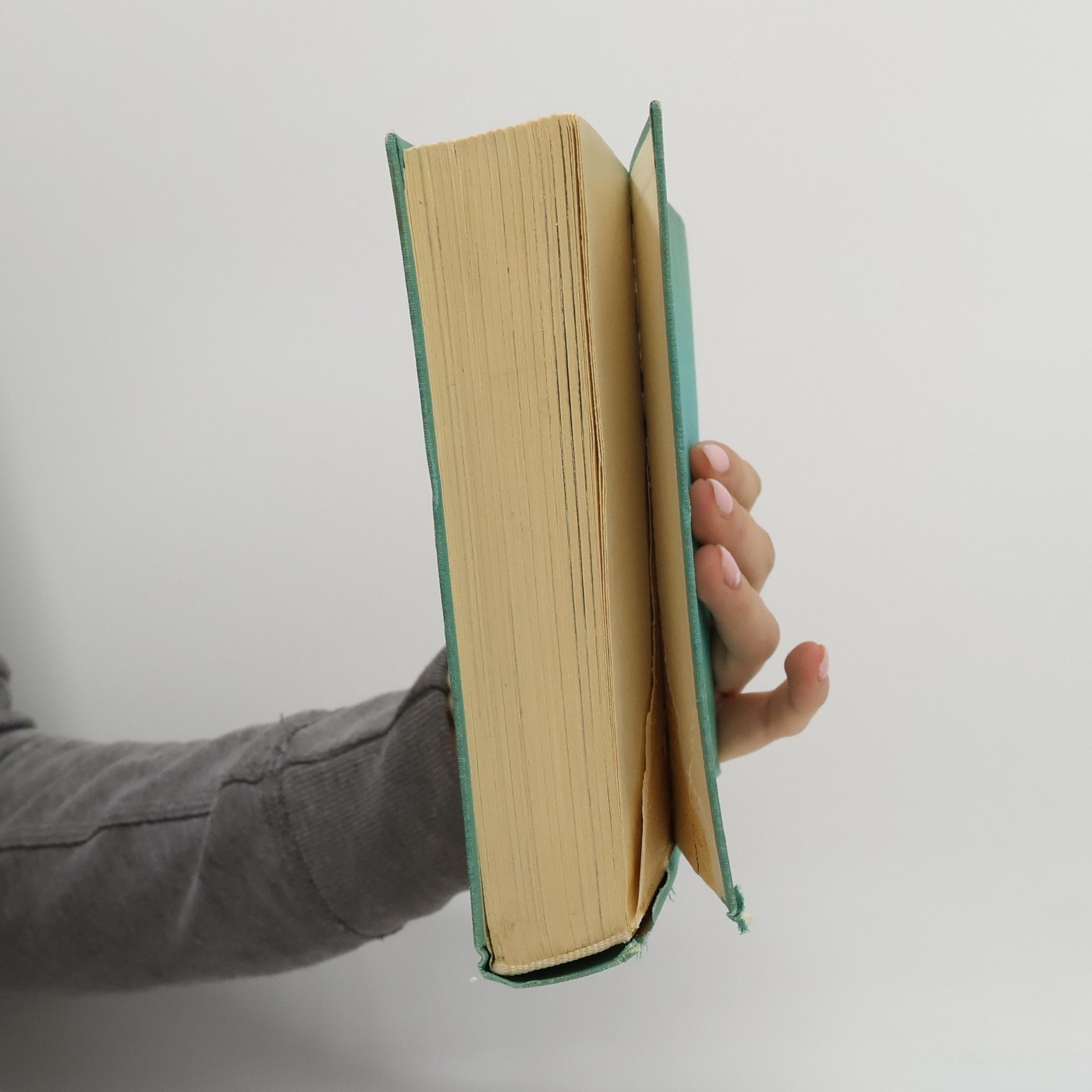 Hans Hass Menschen und Haie