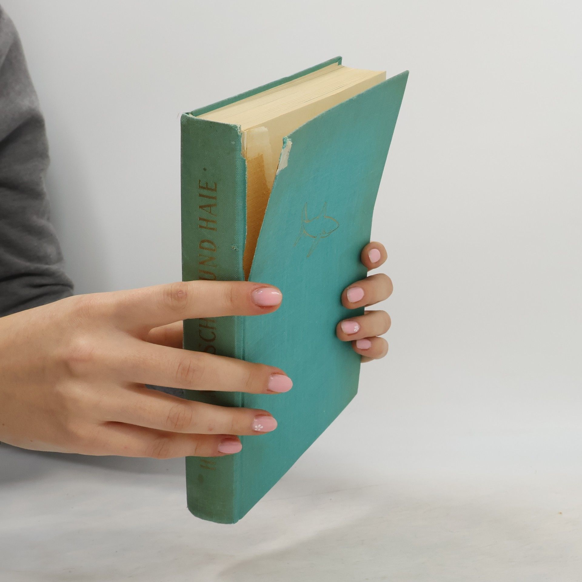 Hans Hass Menschen und Haie