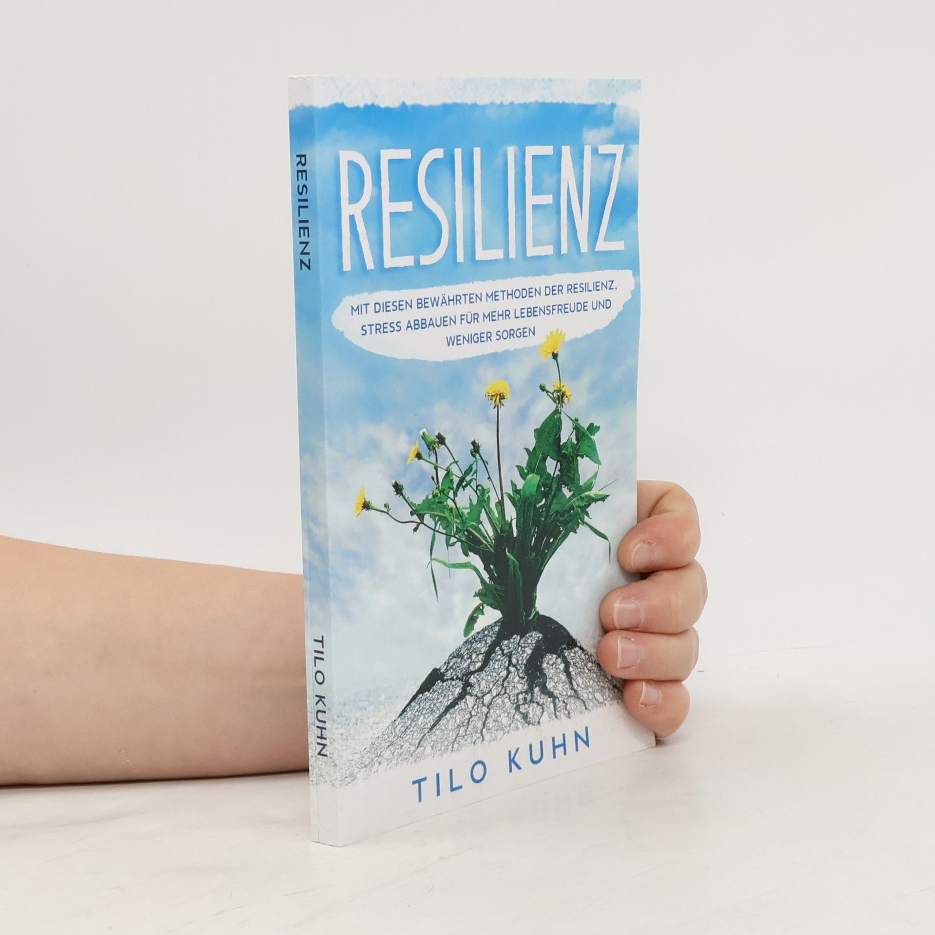 Tilo Kühner Resilienz