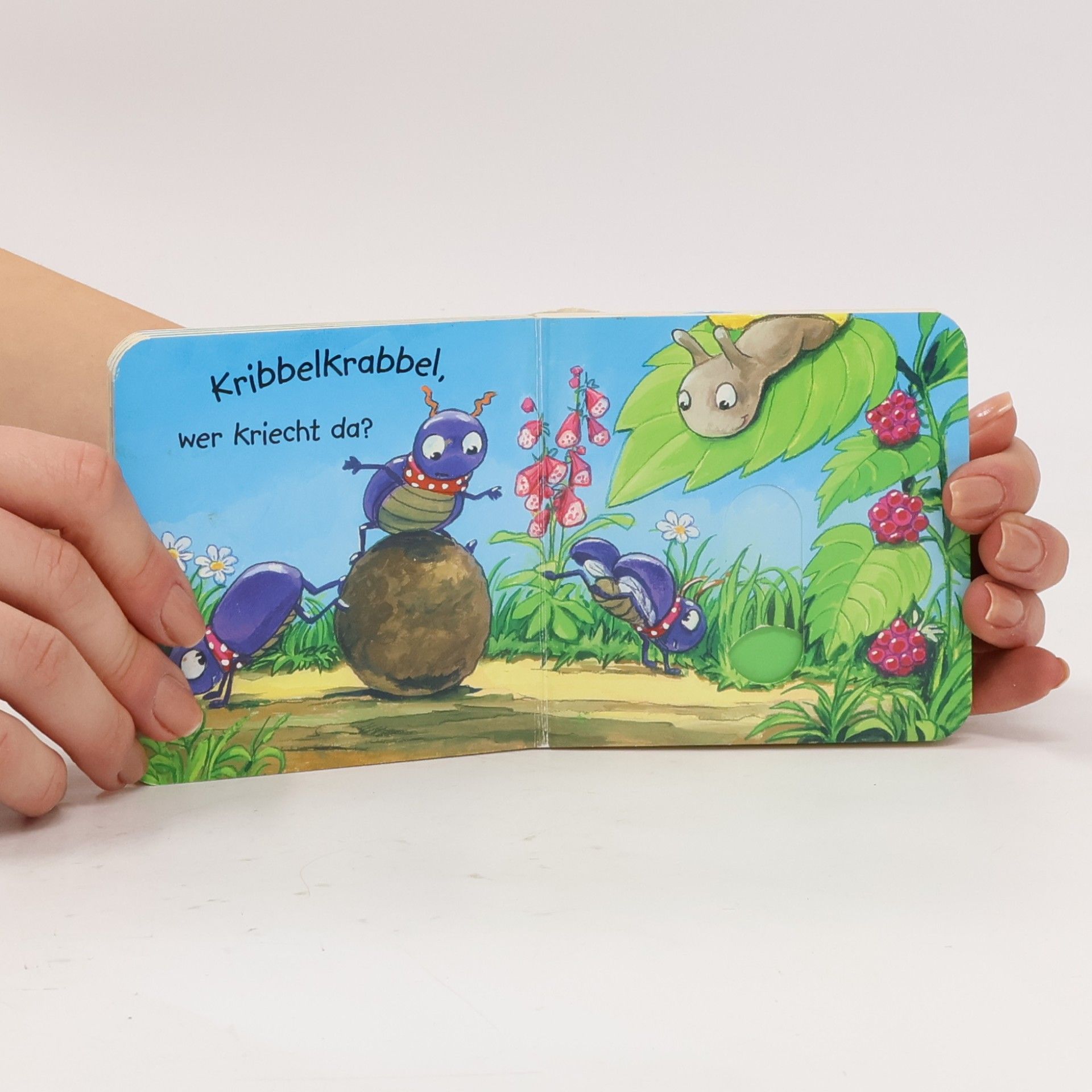 Antje Flad Minifanten - 6: Kribbelkrabbel, wer läuft da?