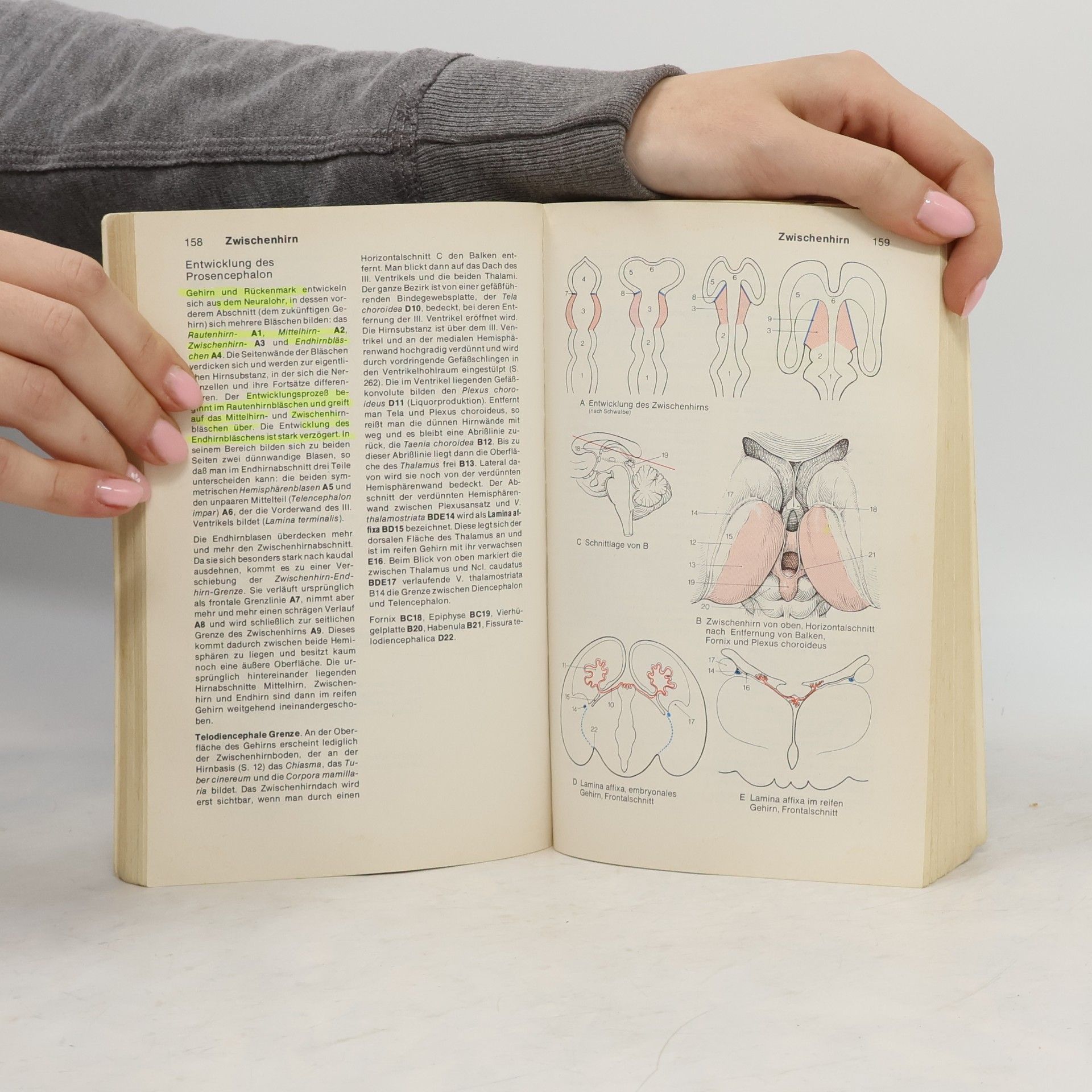 W. Werner Kahle Taschenatlas der Anatomie. Band 3. Nervensystem und Sinnesorgane