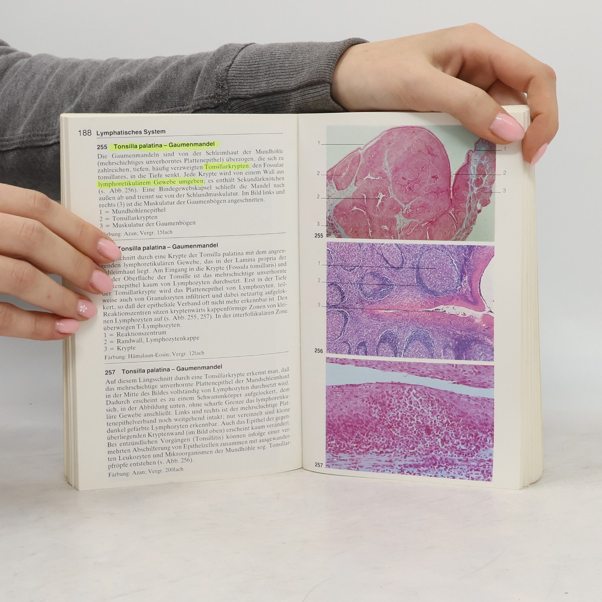 Wolfgang Kühnel Taschenatlas der Zytologie, Histologie und mikroskopischen Anatomie