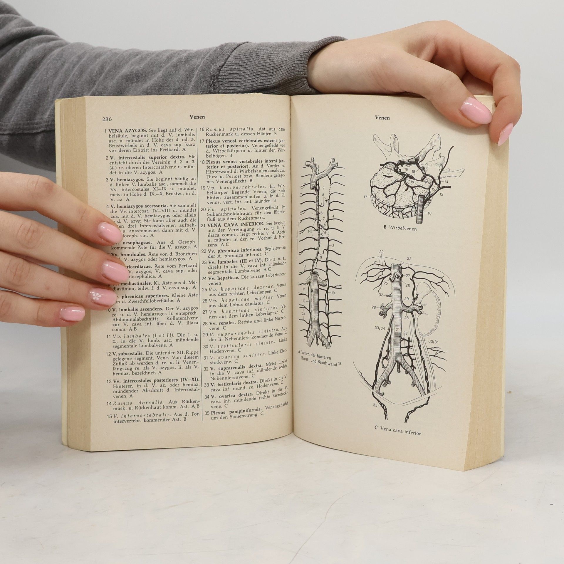 Heinz Feneis Anatomisches Bildwörterbuch der internationalen Nomenklatur