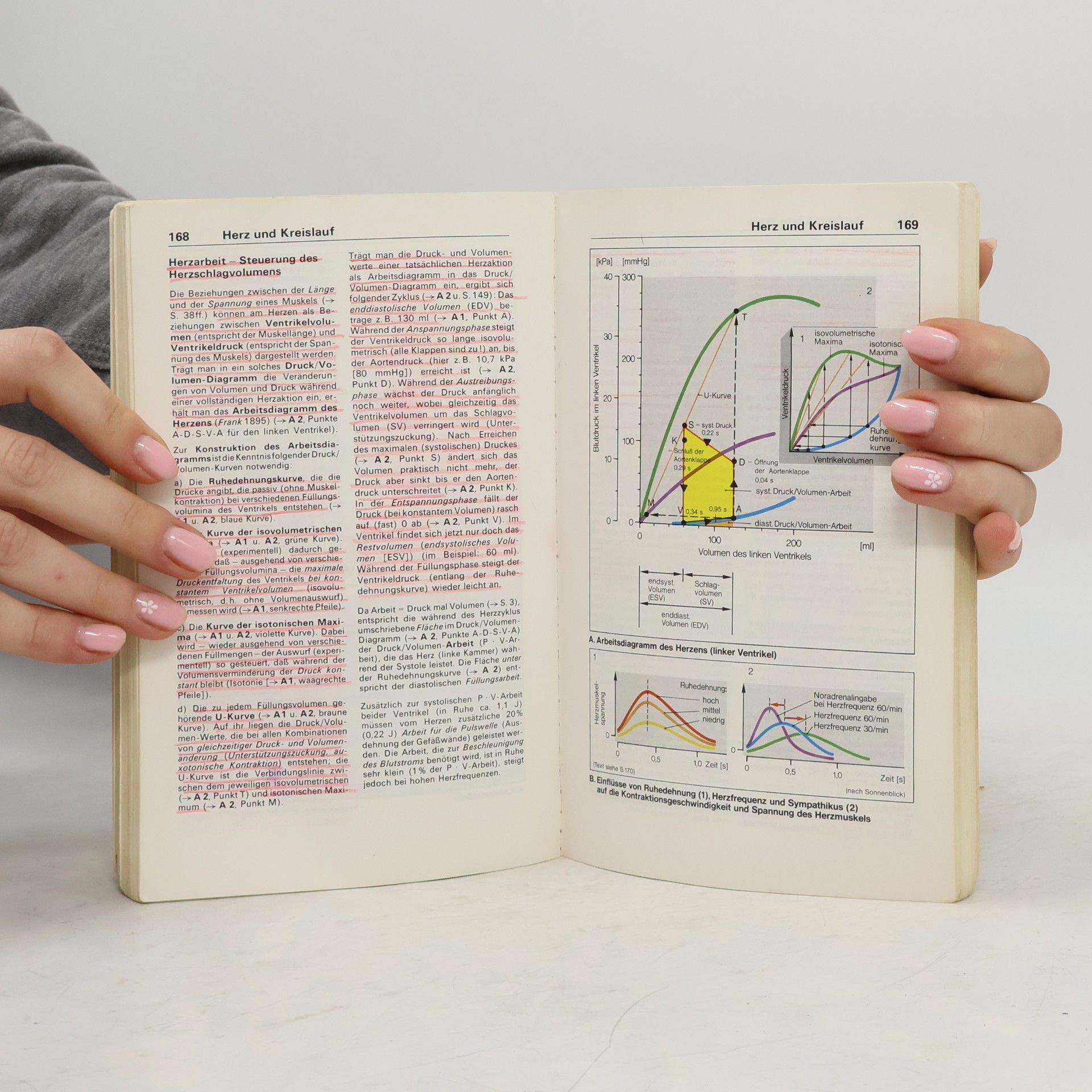 Stefan Silbernagl Taschenatlas der Physiologie : in Anlehnung an den Gegenstandkatalog
