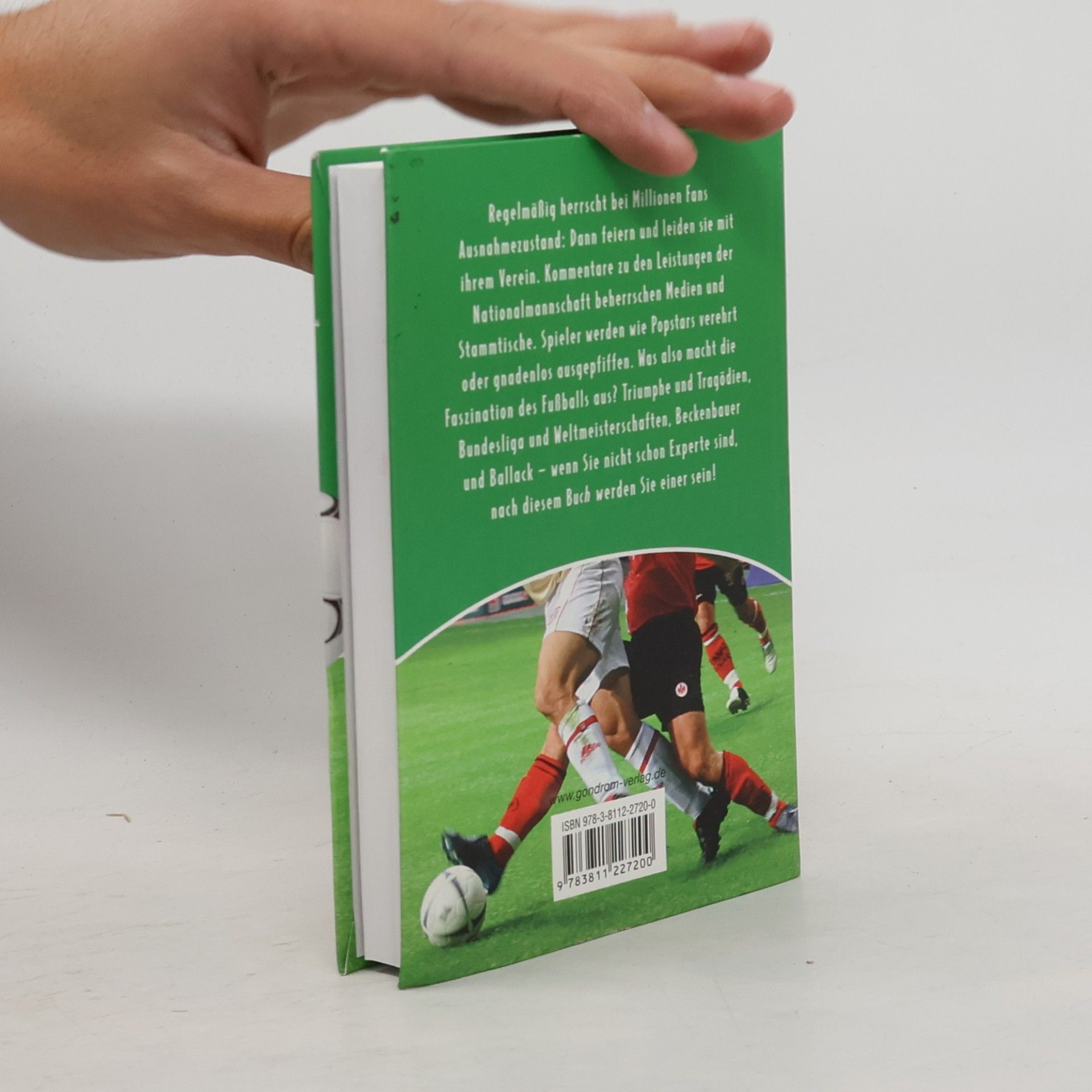 Pat Lauer Fussball-Experte