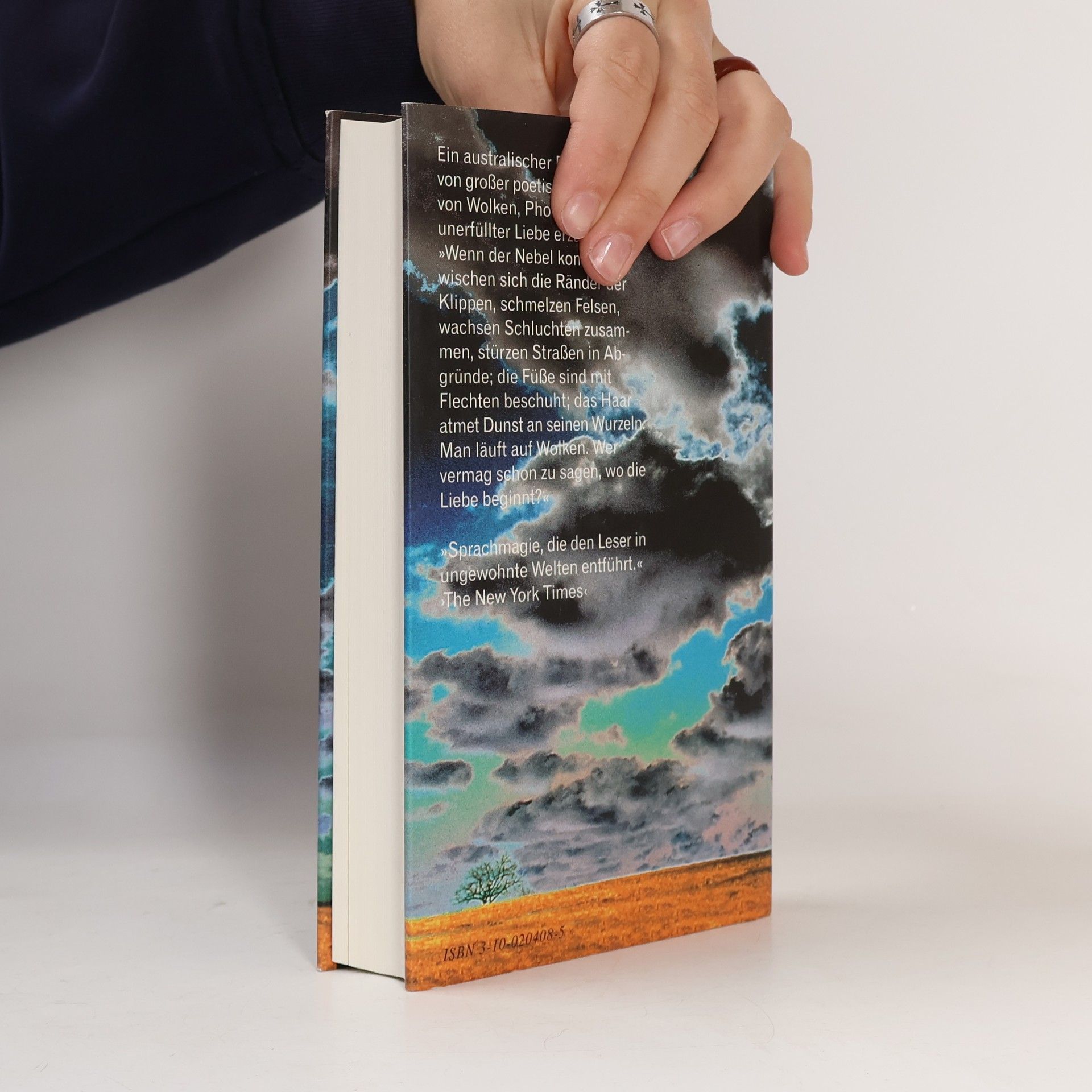 Delia Falconer Die Liebe zu den Wolken