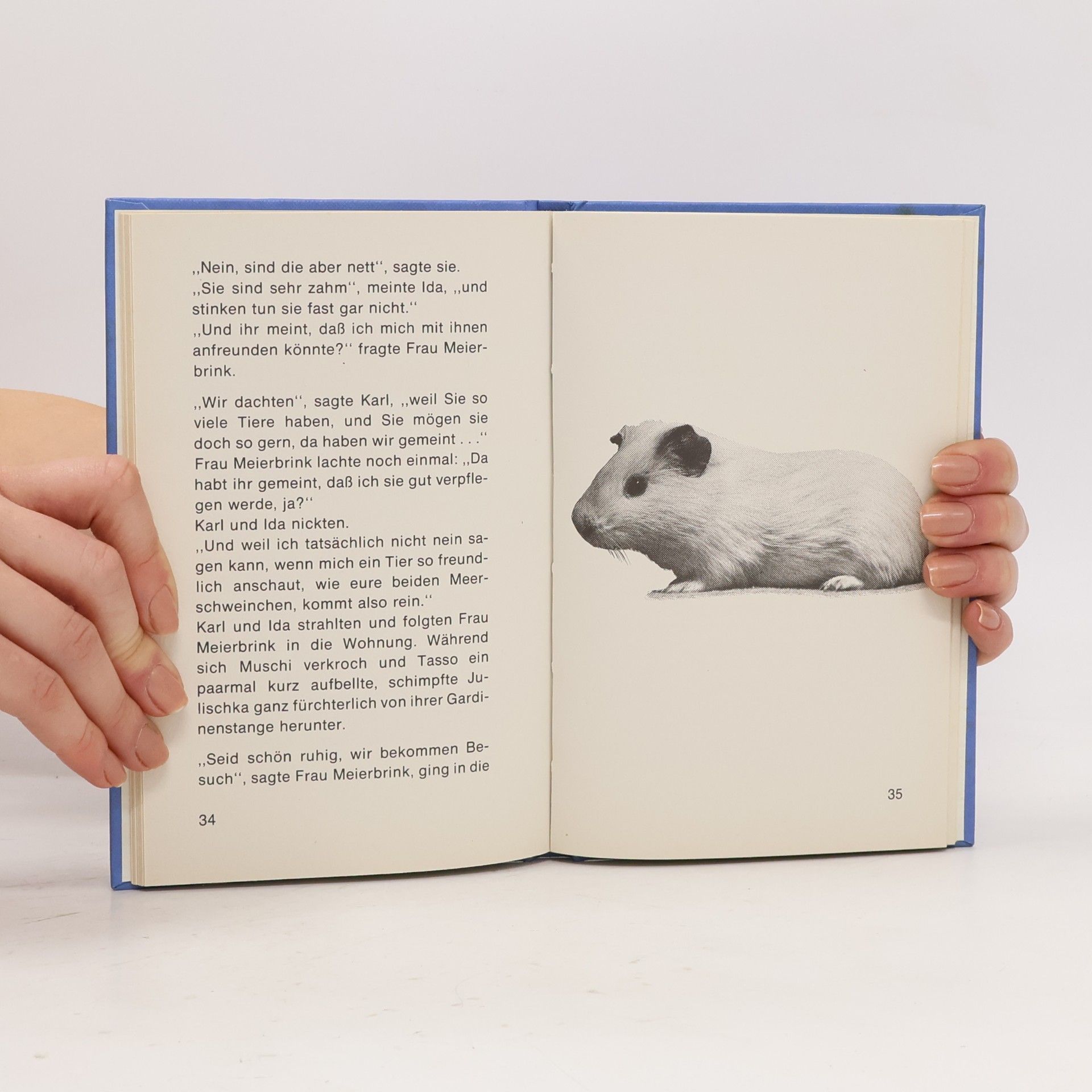 Sibylle Mews Die kleinen Auer-Bücher: Ein Daheim für Tiere