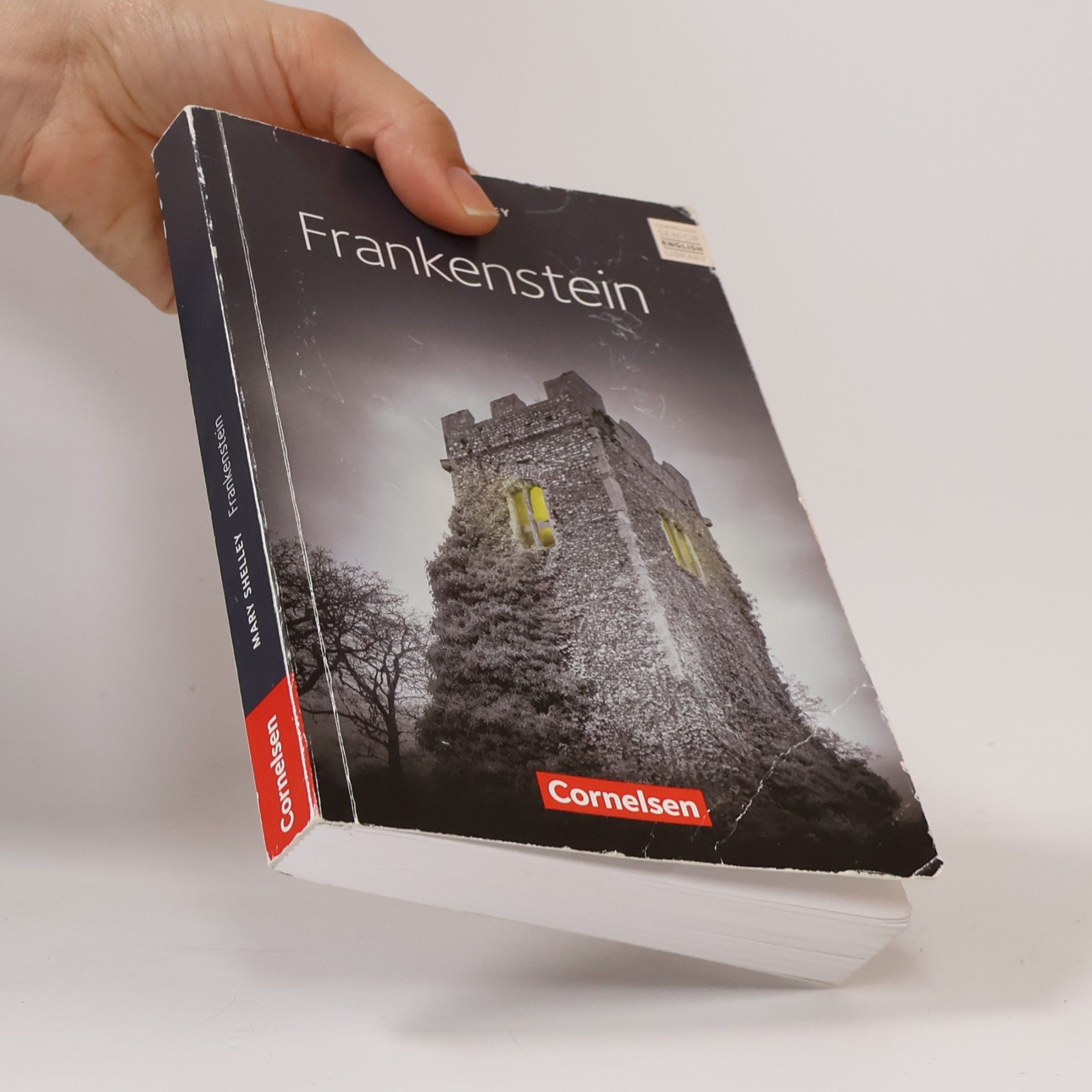 Mary Shelley Frankenstein