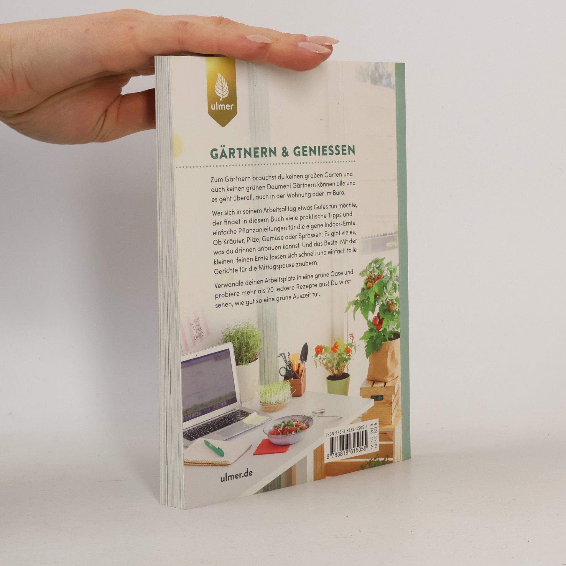 Lotta Repenning Endlich Mittagspause! Indoor-Gärtnern zwischen Mails und Meetings mit Pflücksalat, Sprossen & Co.
