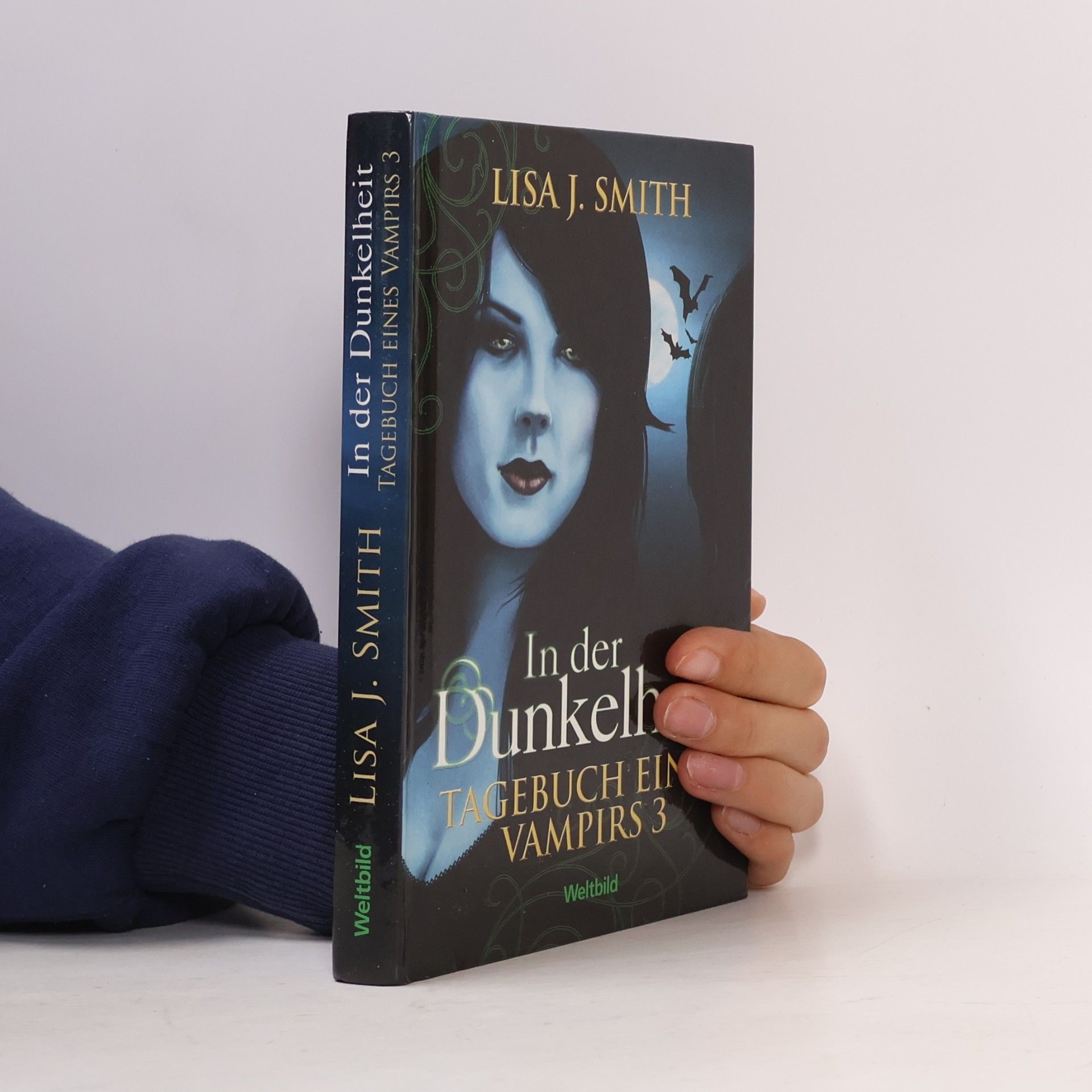 L. J. Smithová  In der Dunkelheit. Tagebuch eines Vampirs 3