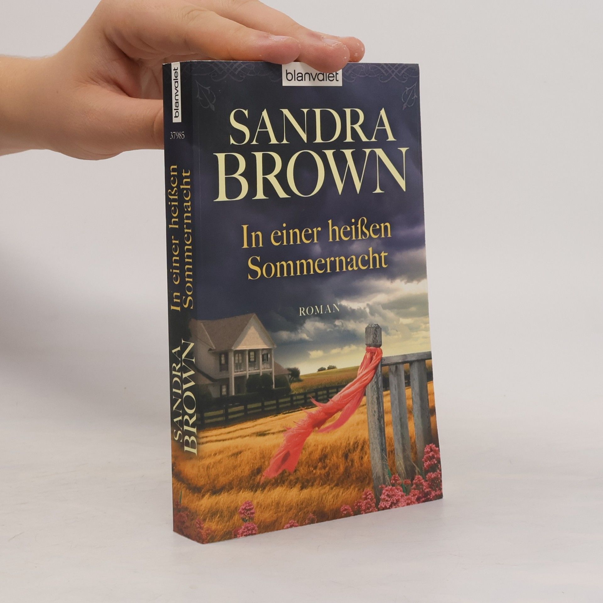 Sandra Brown In einer heißen Sommernacht