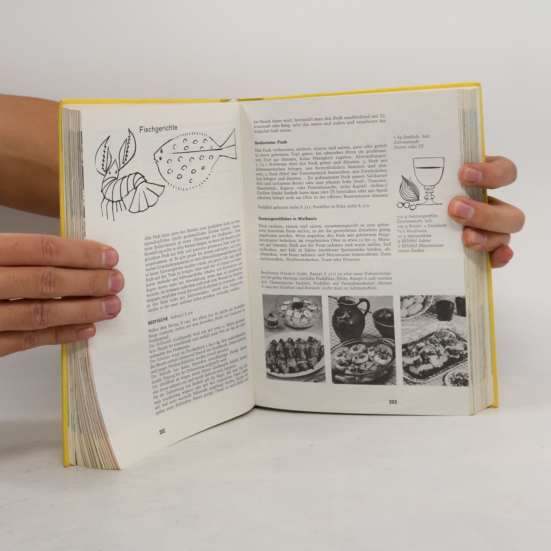 Betty Kothe Marxmeier Das neue große Kochbuch