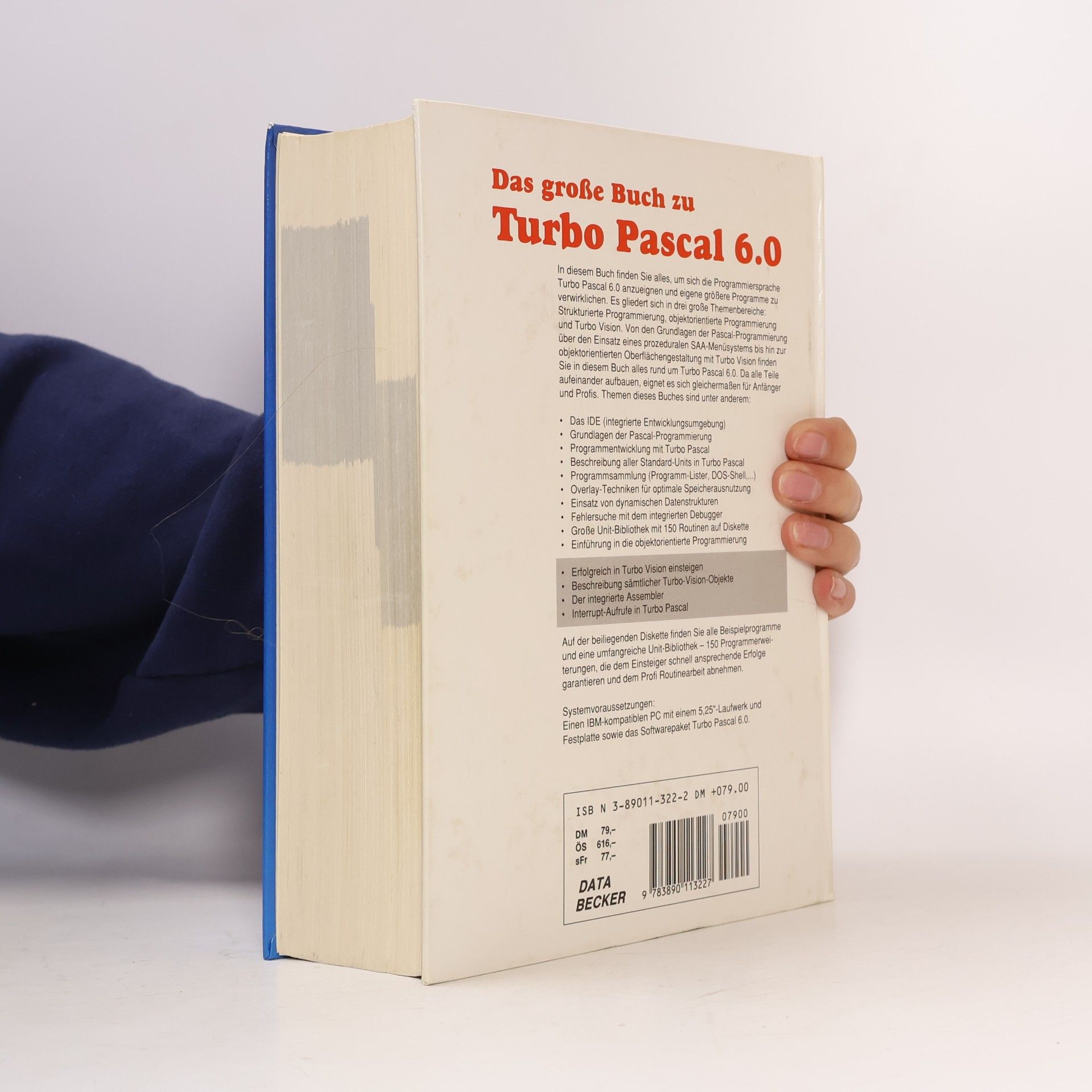 Gabriele Rosenbaum Das grosse Buch zu Turbo Pascal 6.0