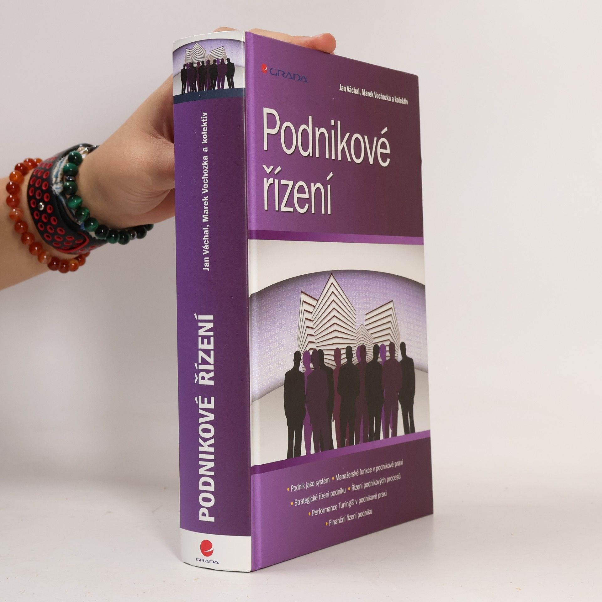 Marek Vochozka Podnikové řízení