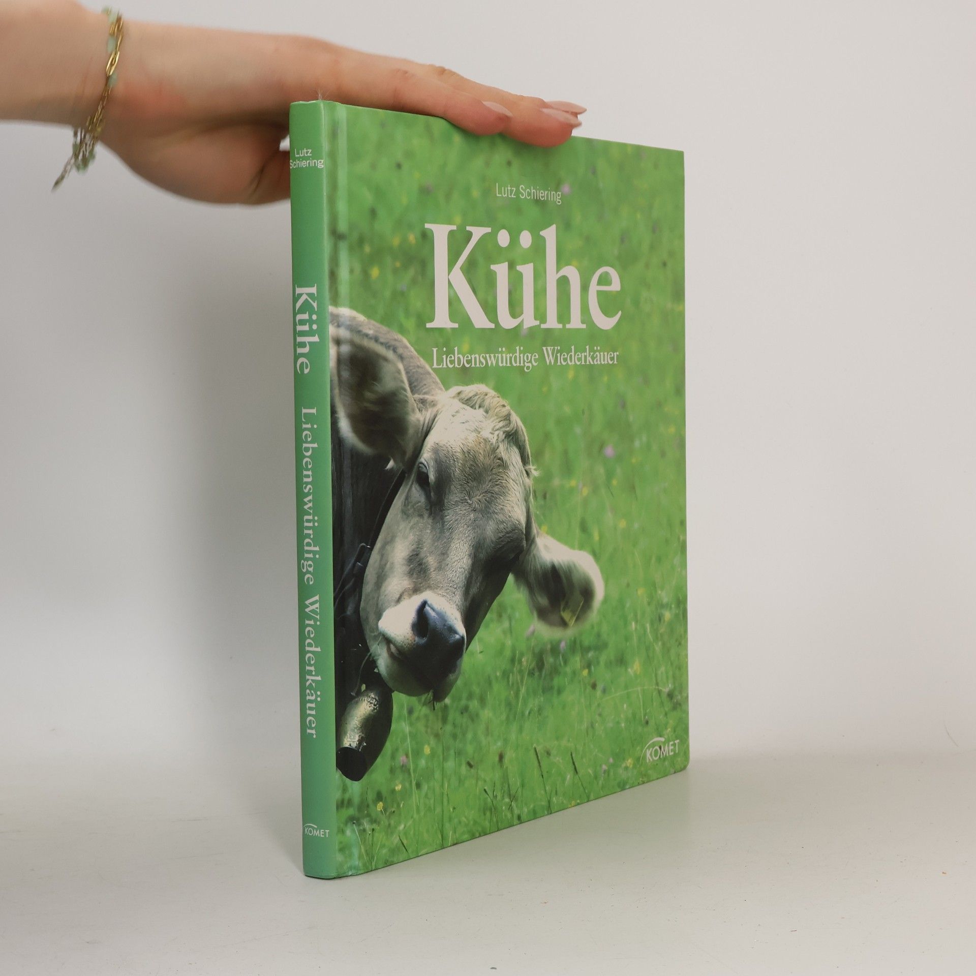 Kühe