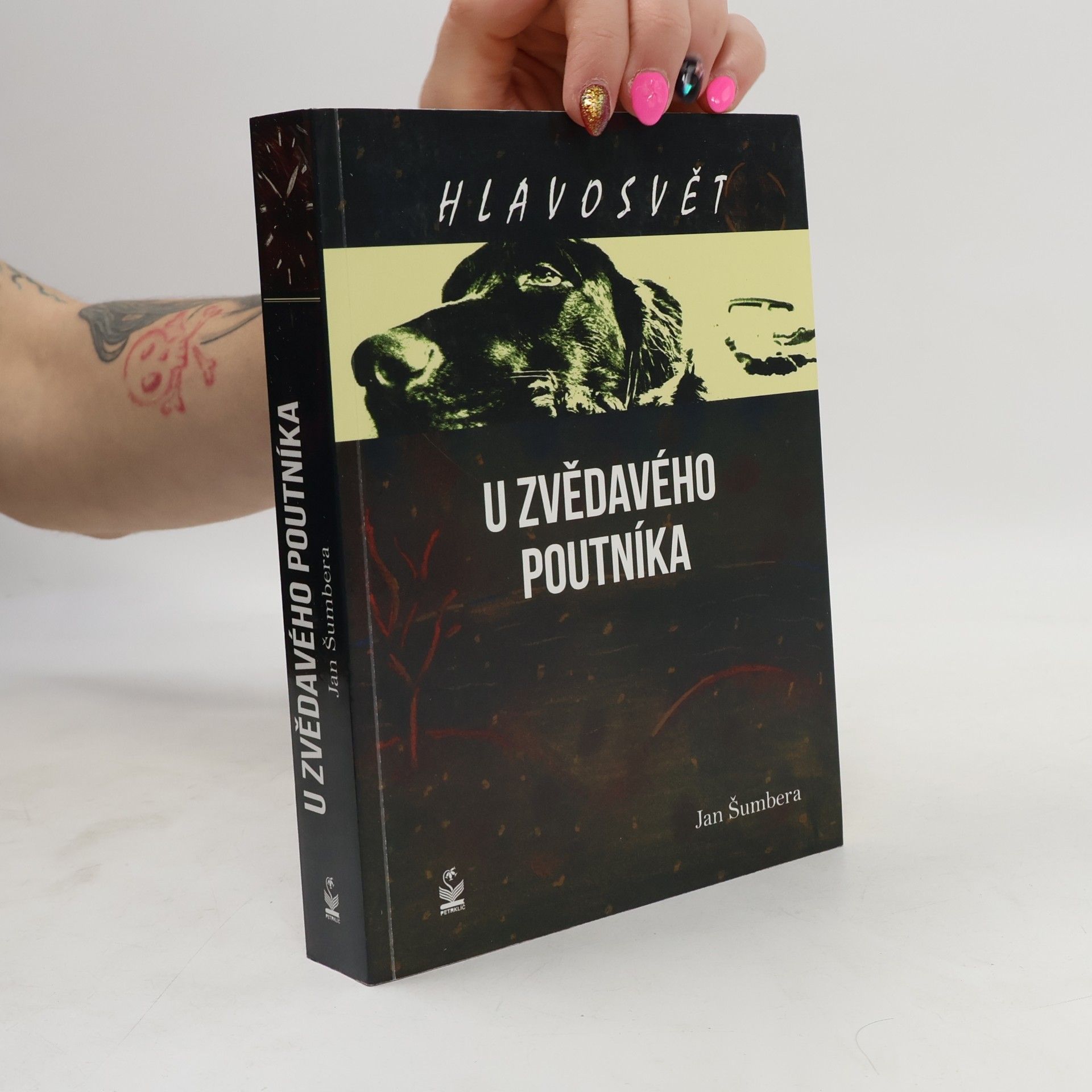 Hlavosvět: U Zvědavého poutníka