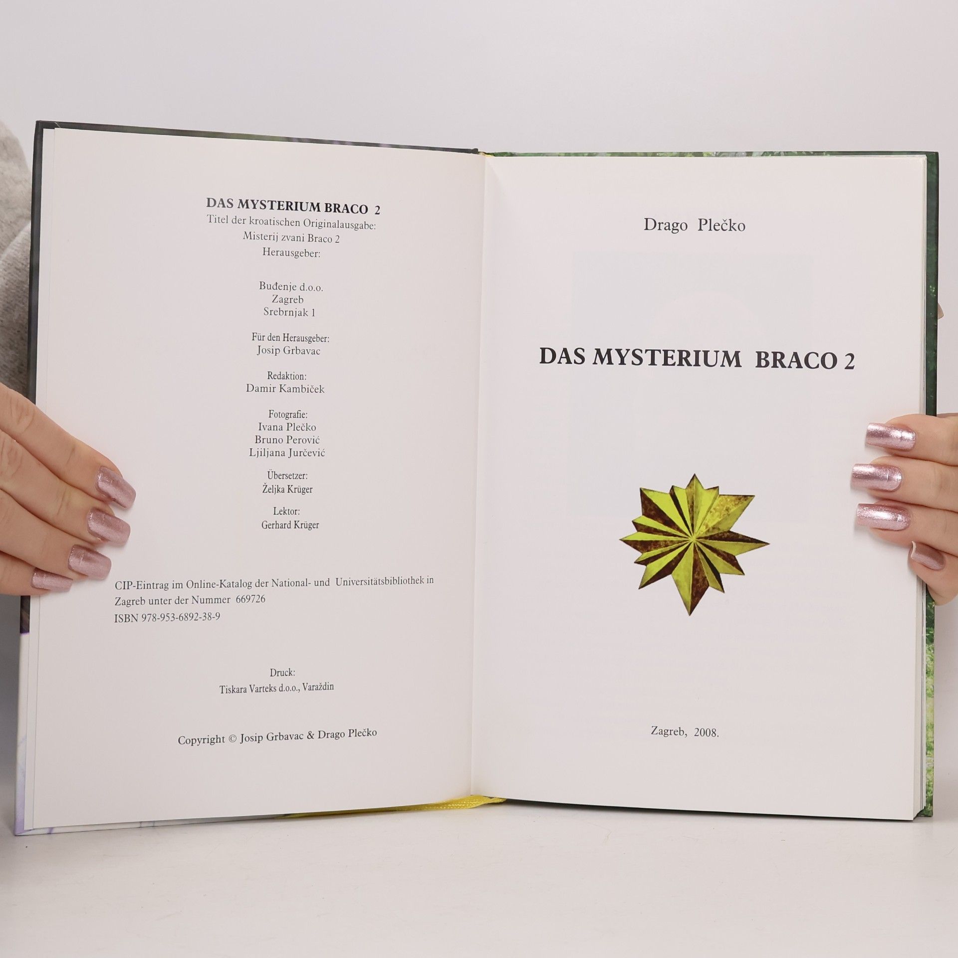 Drago Plečko Das Mysterium Braco 2