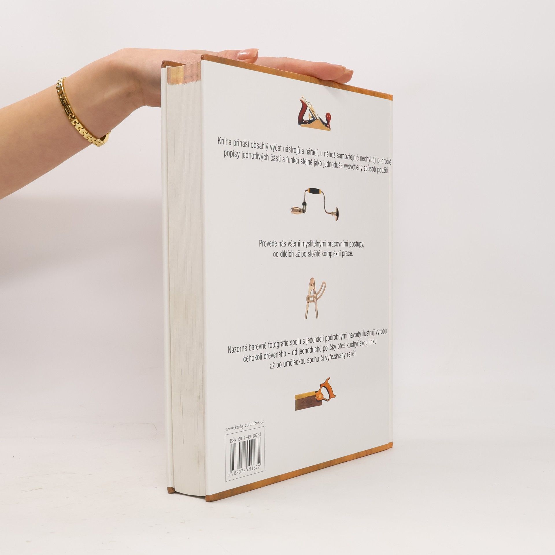 Various authors Práce se dřevem - encyklopedie