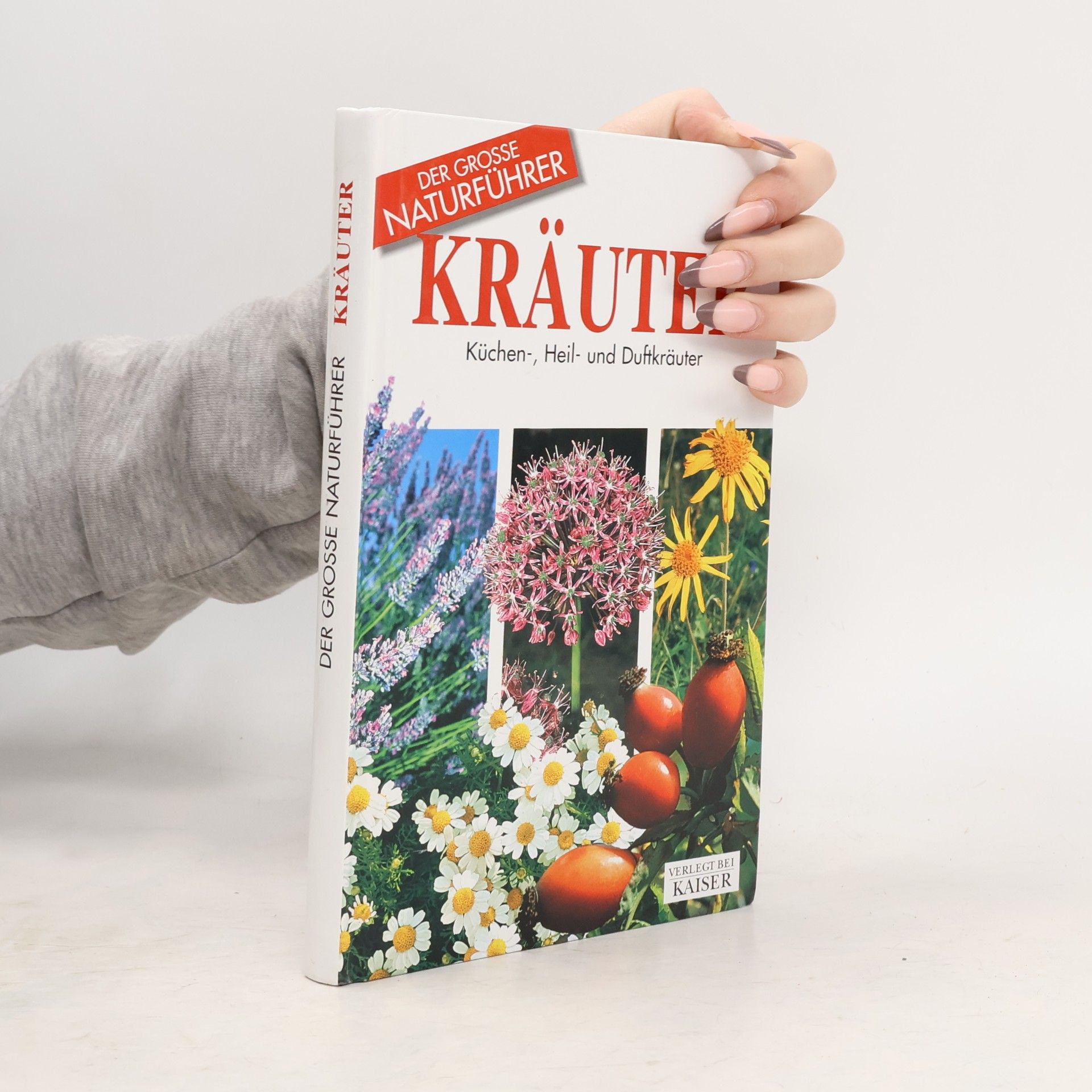 Kräuter. Küchen-, Heil- und Duftkräuter