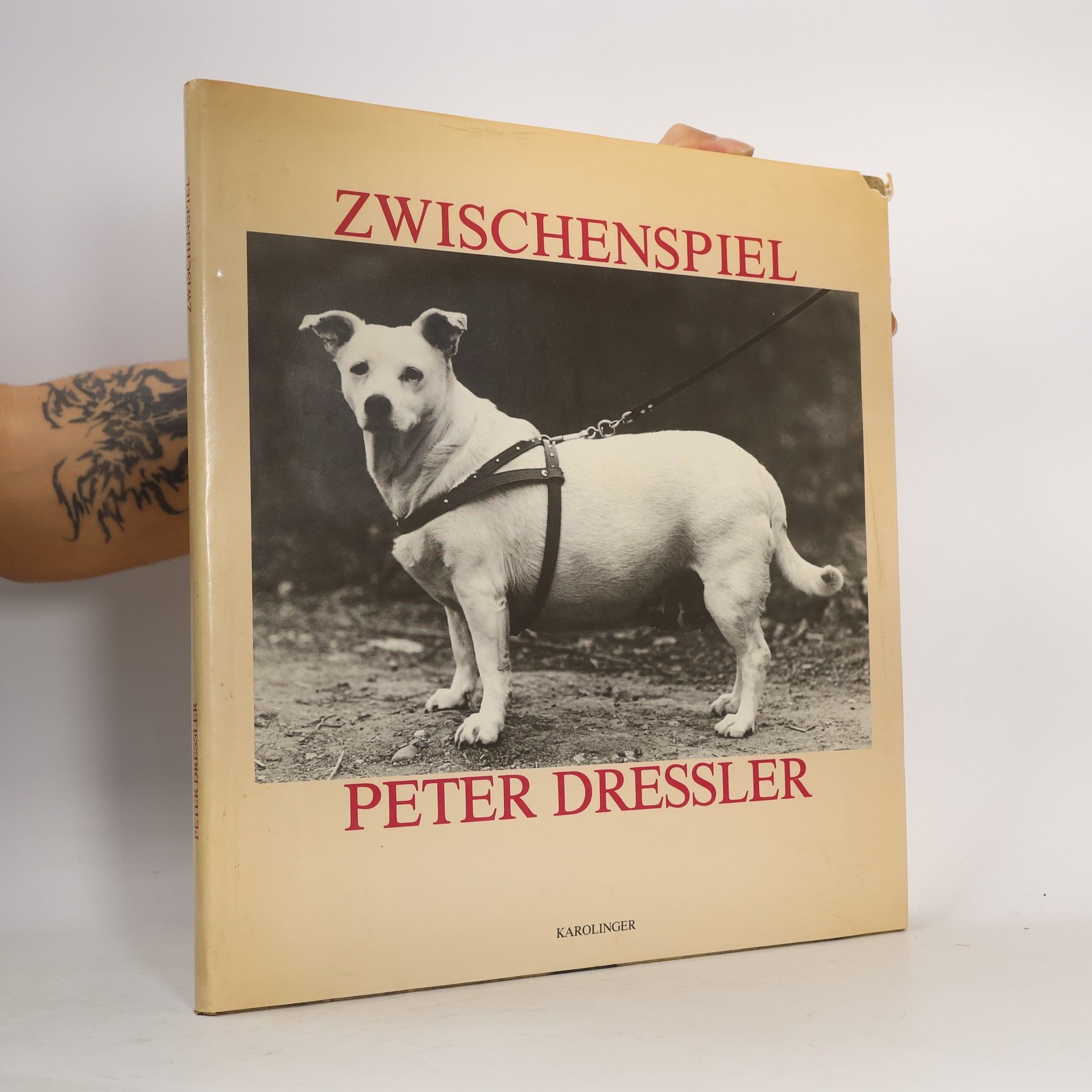 Zwischenspiel
