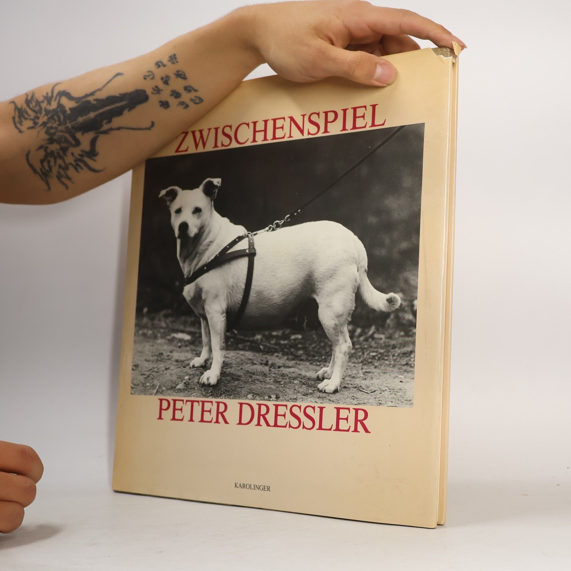 Peter Dressler Zwischenspiel