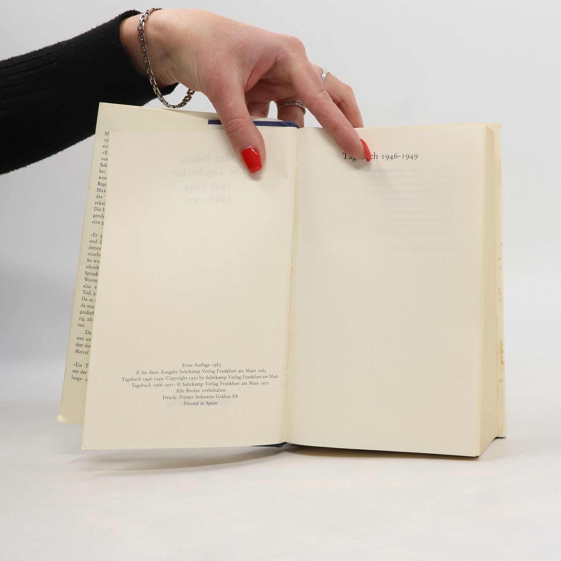 Max Frisch Die Tagebücher