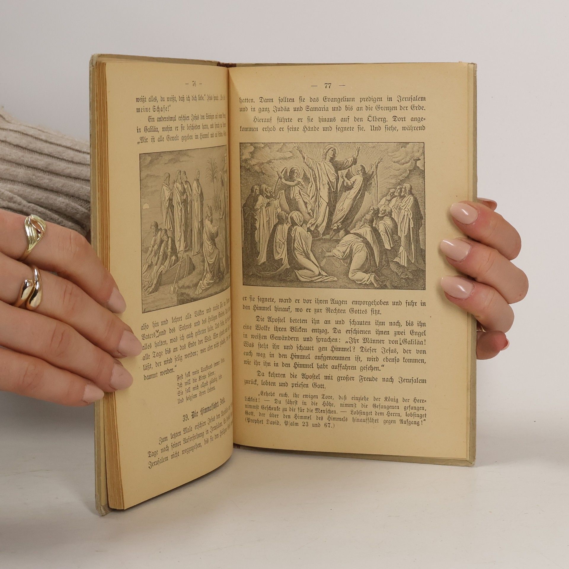 Johann Panholzer Kurze Biblische Geschichte des Alten und Neuen Testaments für die katholische Jugend der unteren Klassen der allgemeinen Volksschulen.