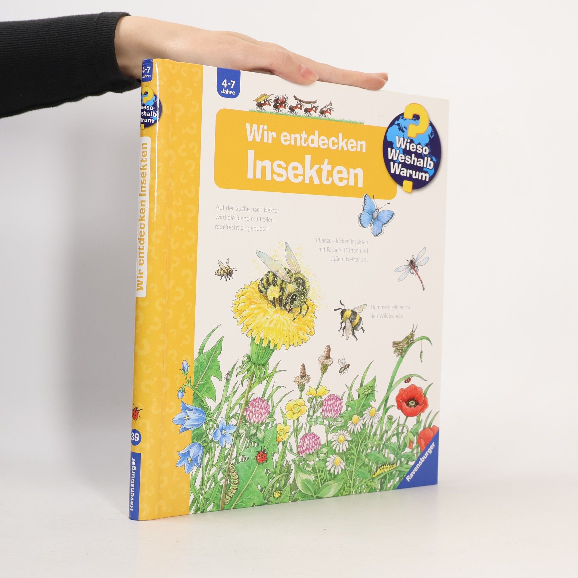 Wir entdecken Insekten