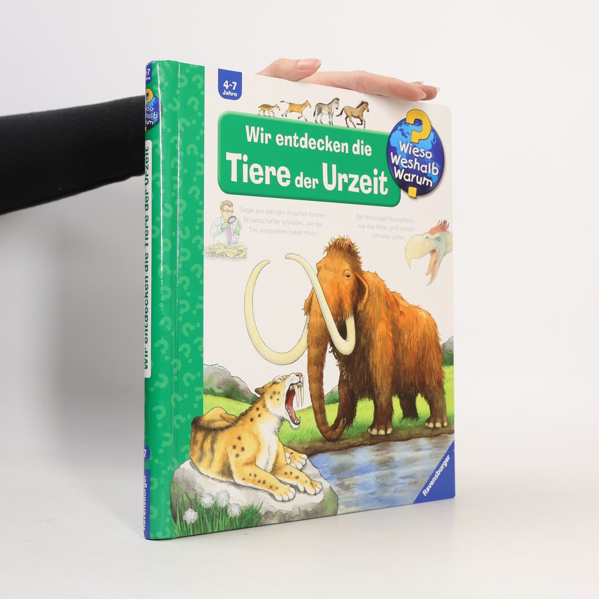 Anne Ebert Wir entdecken die Tiere der Urzeit
