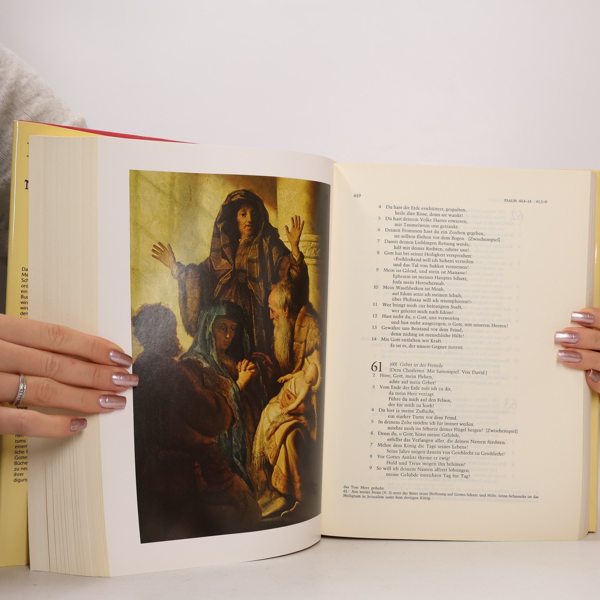 Autorenkollektiv Die Bibel: Altes und Neues Testament