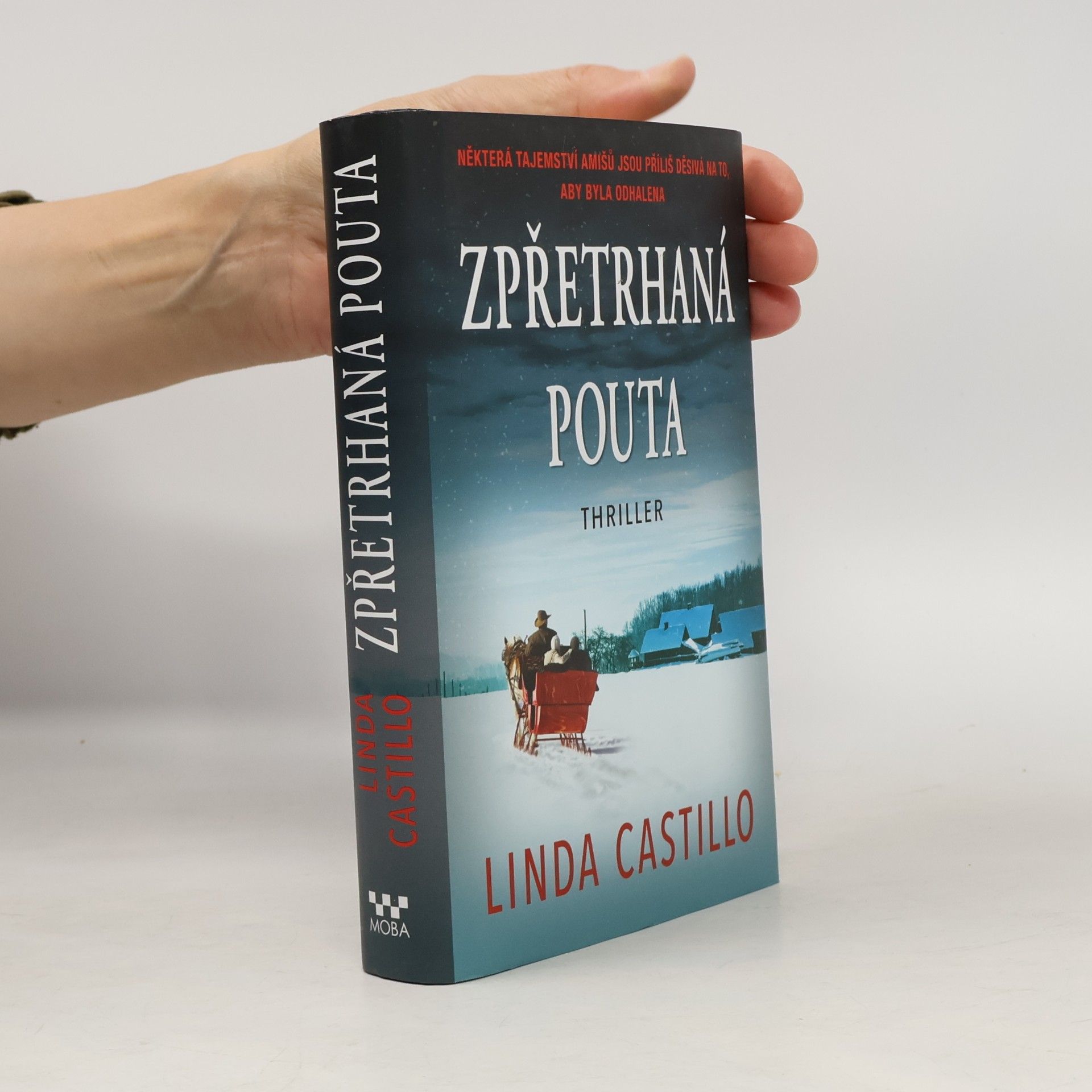 Linda Castillo Zpřetrhaná pouta