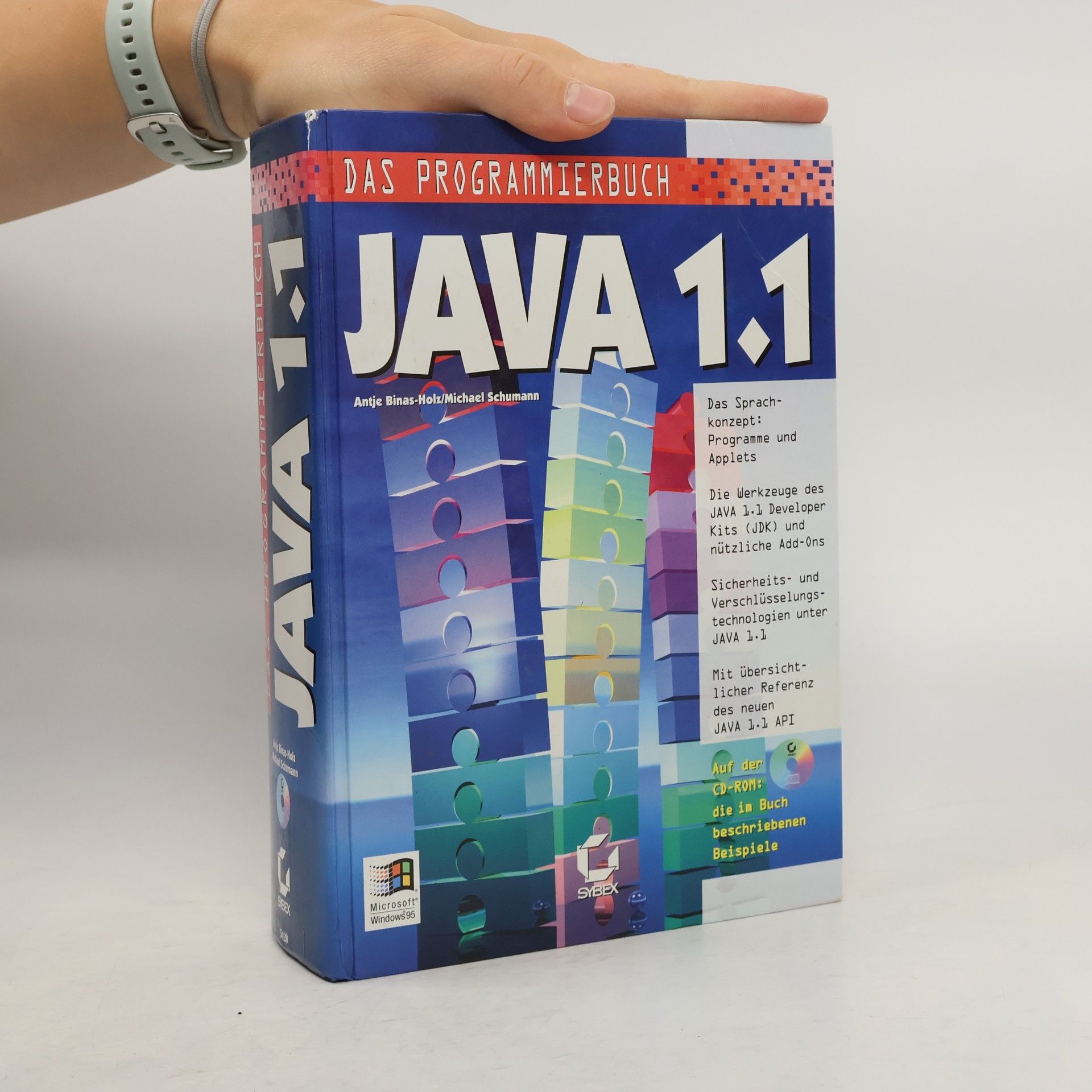 Antje Binas-Holz Das Programmierbuch JAVA 1.1