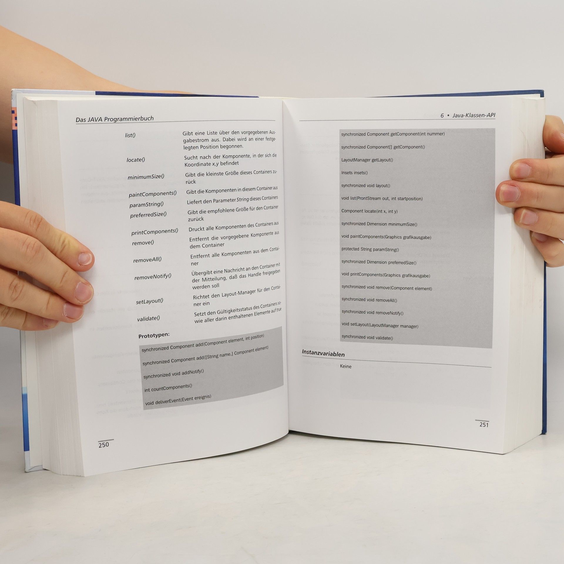 Antje Binas-Holz Das Programmierbuch JAVA 1.1