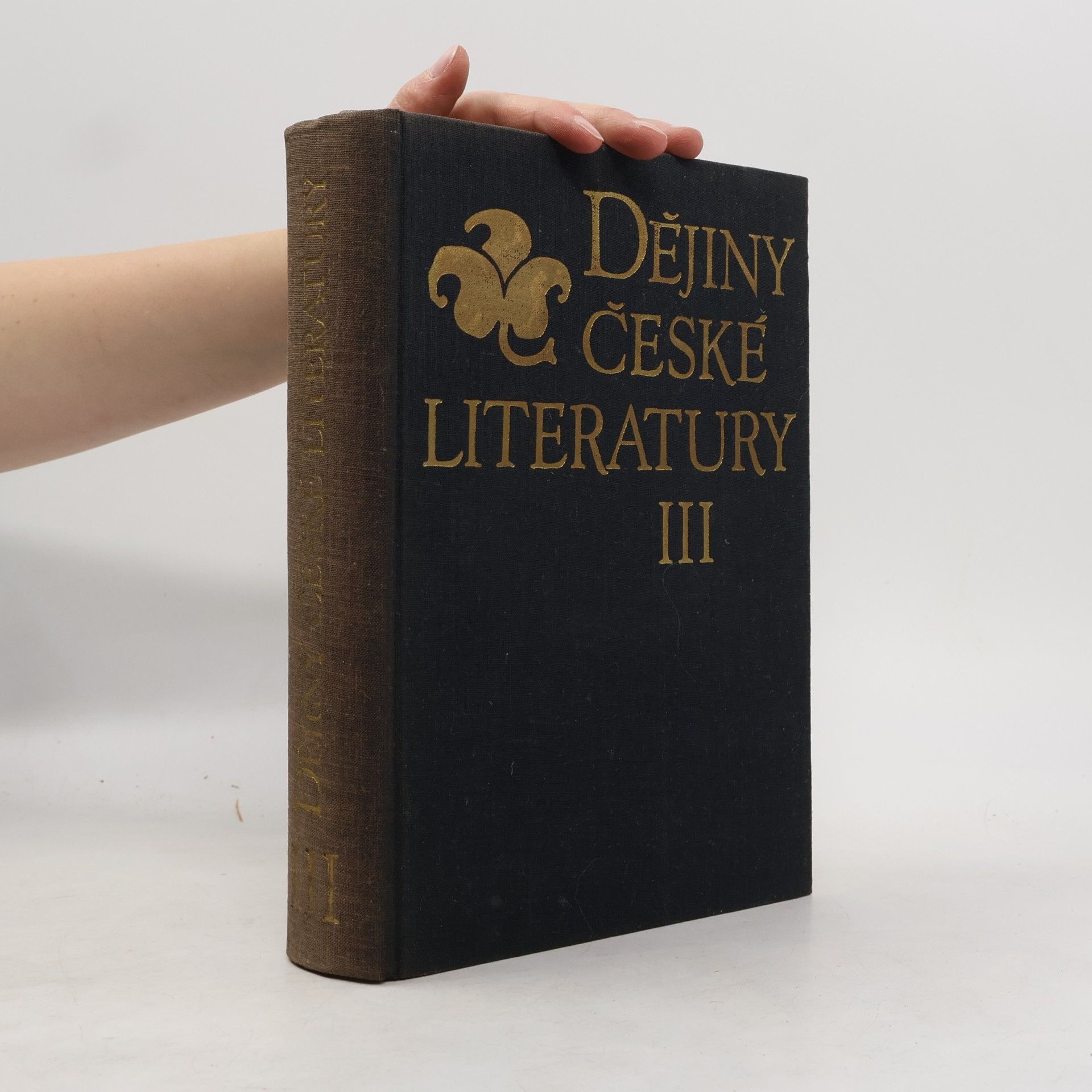 Autorenkollektiv Dějiny české literatury III.