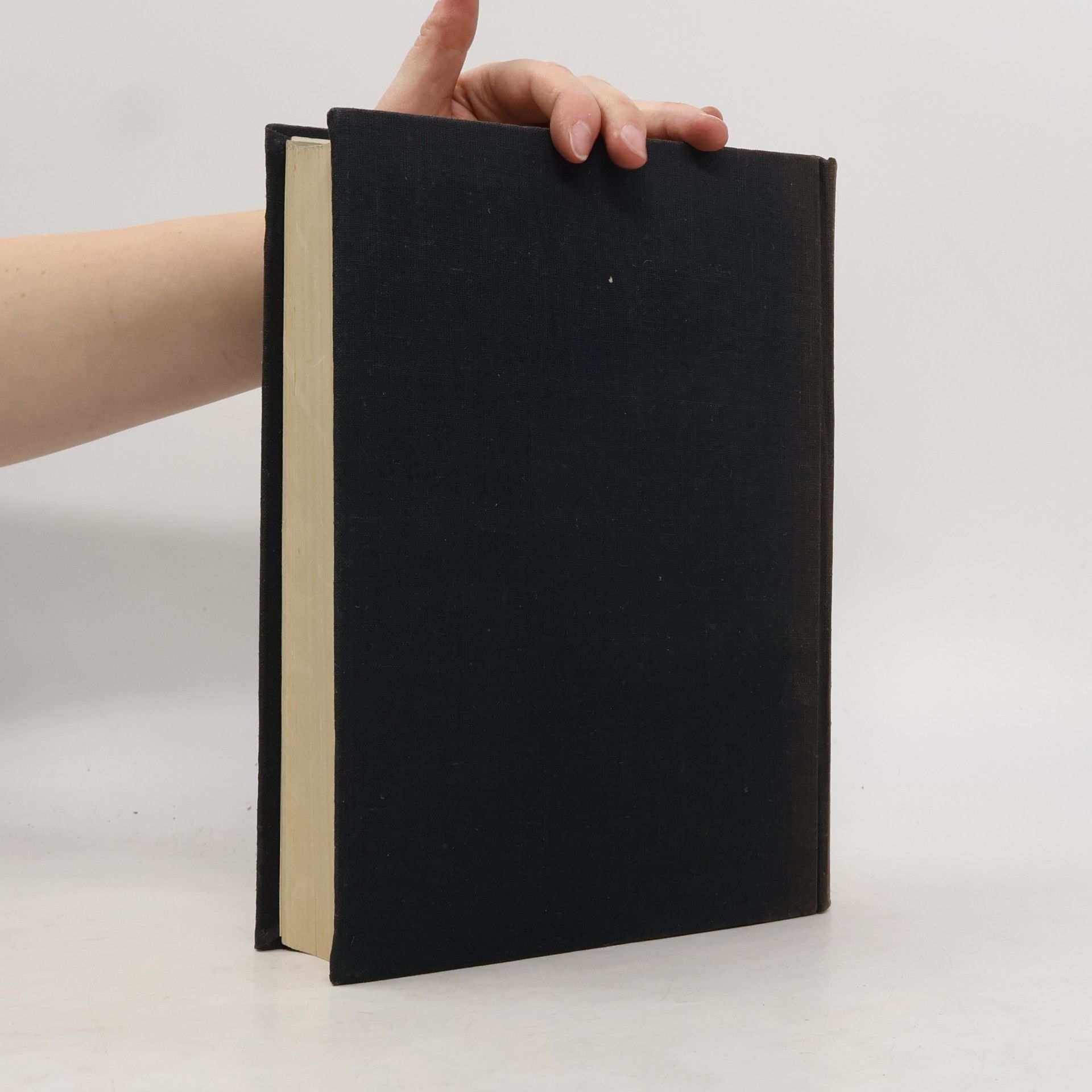 Autorenkollektiv Dějiny české literatury III.
